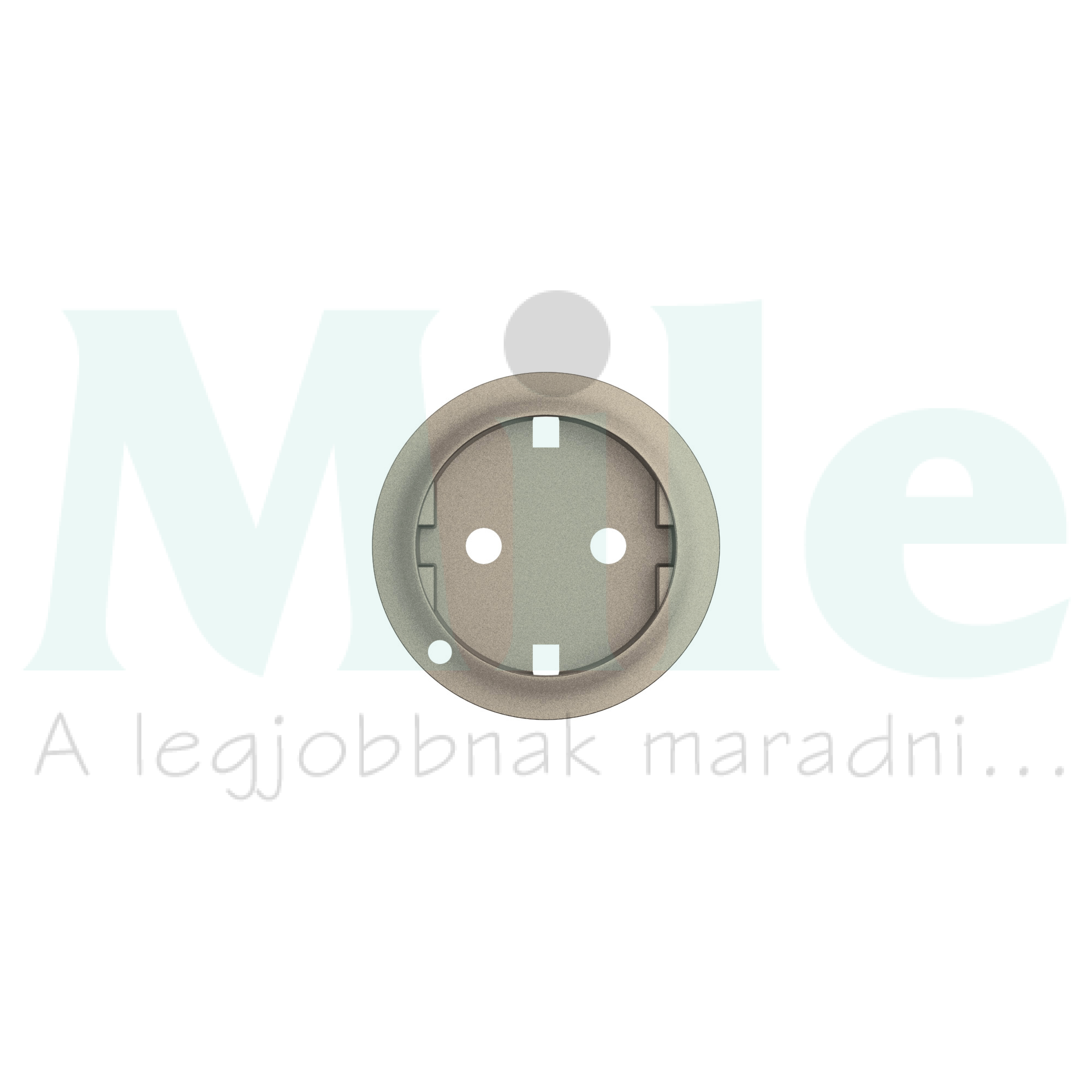 Céliane 2P+F (162) rugós csatlakozóaljzat burkolat, fényjelzős, titánium