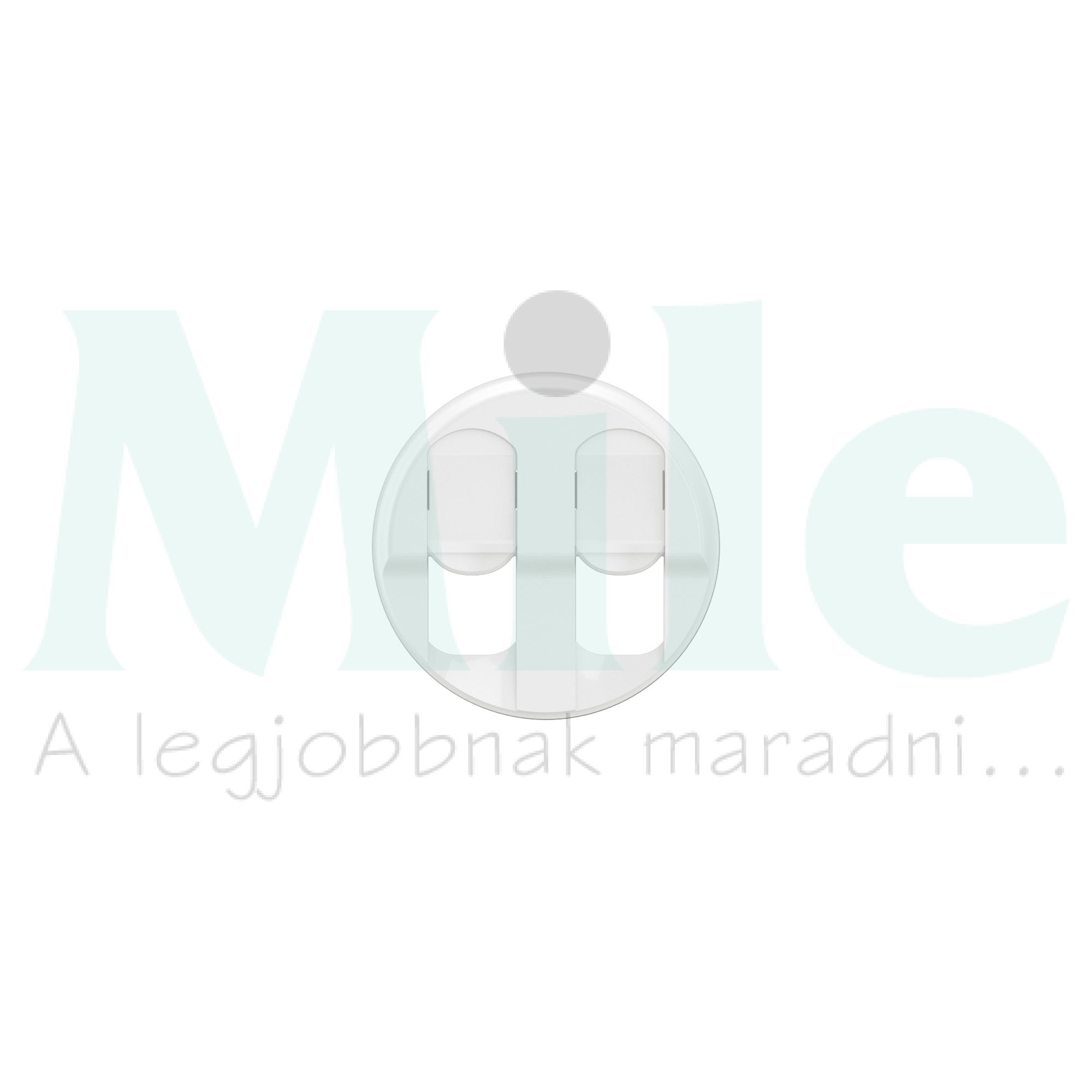 Céliane 2xRJ45 burkolat, fehér