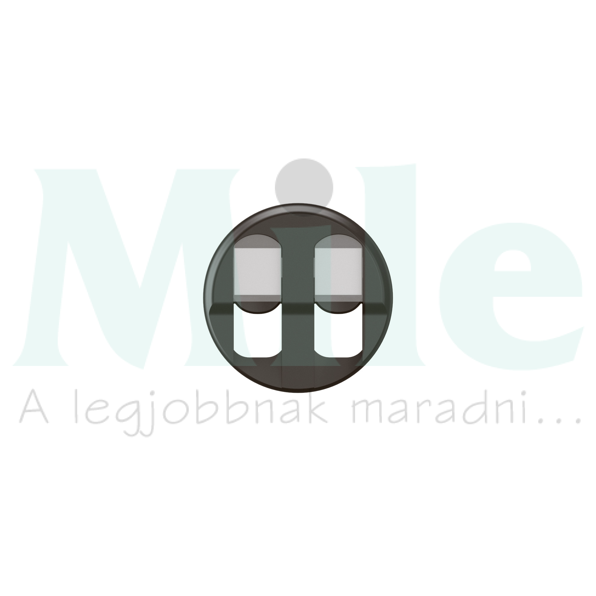 Céliane 2xRJ45 burkolat, fekete