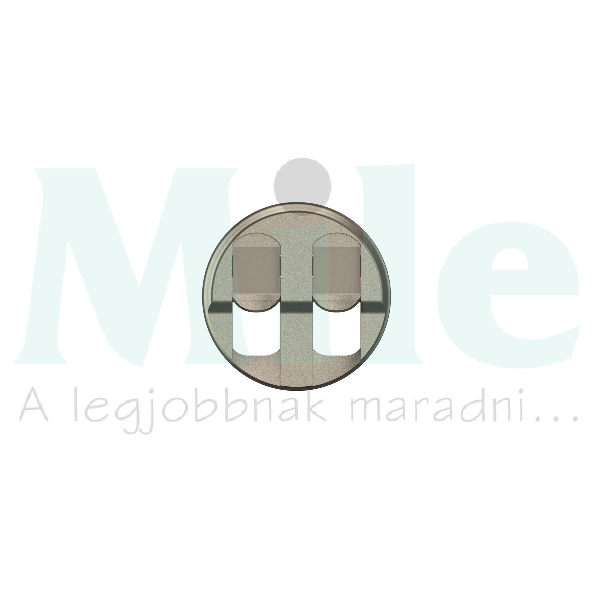 Céliane 2xRJ45 burkolat, titánium