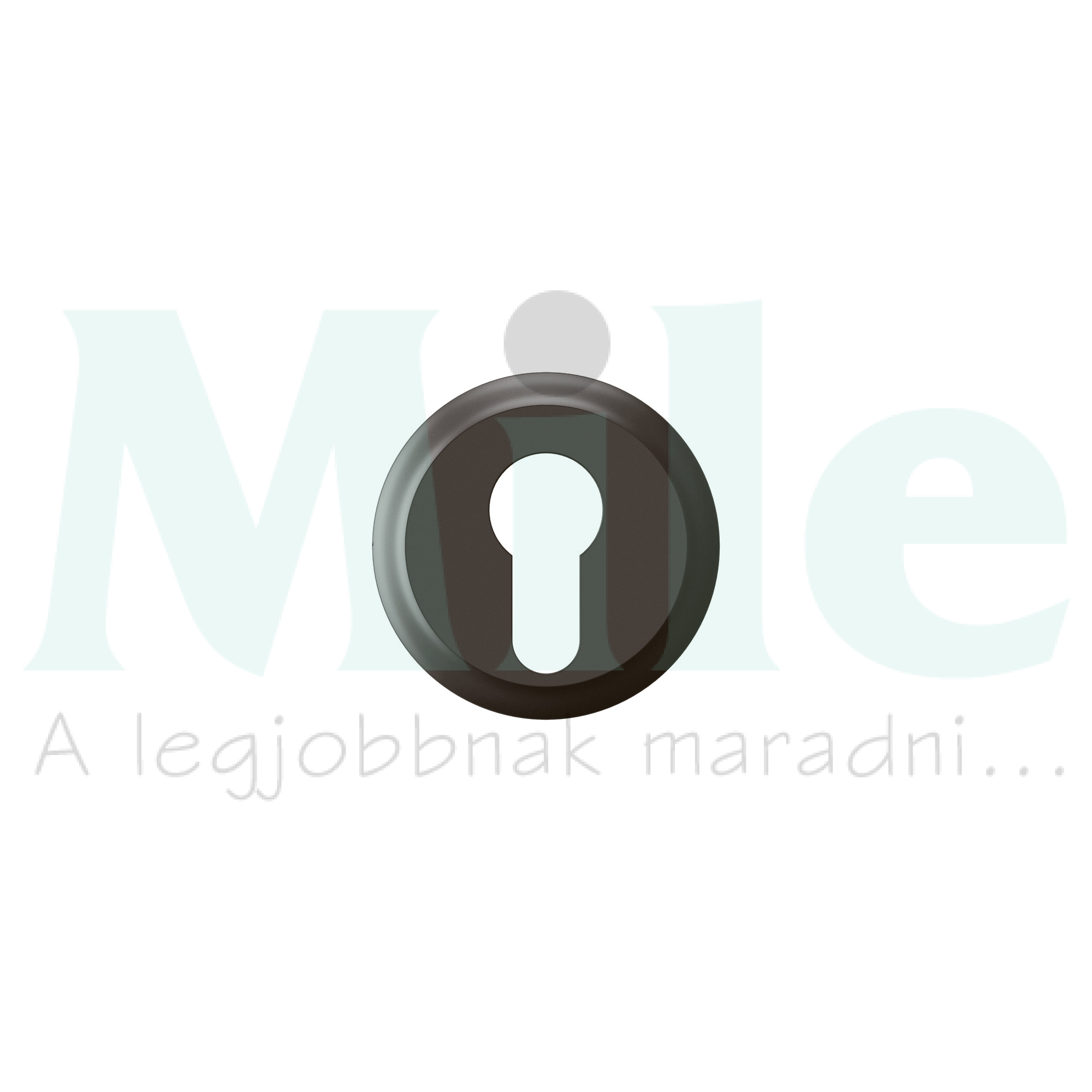 Céliane 3 pozíciós kulcsos redőnyN101 nyomó visszaugrós (1->0<-2) burkolat, fekete