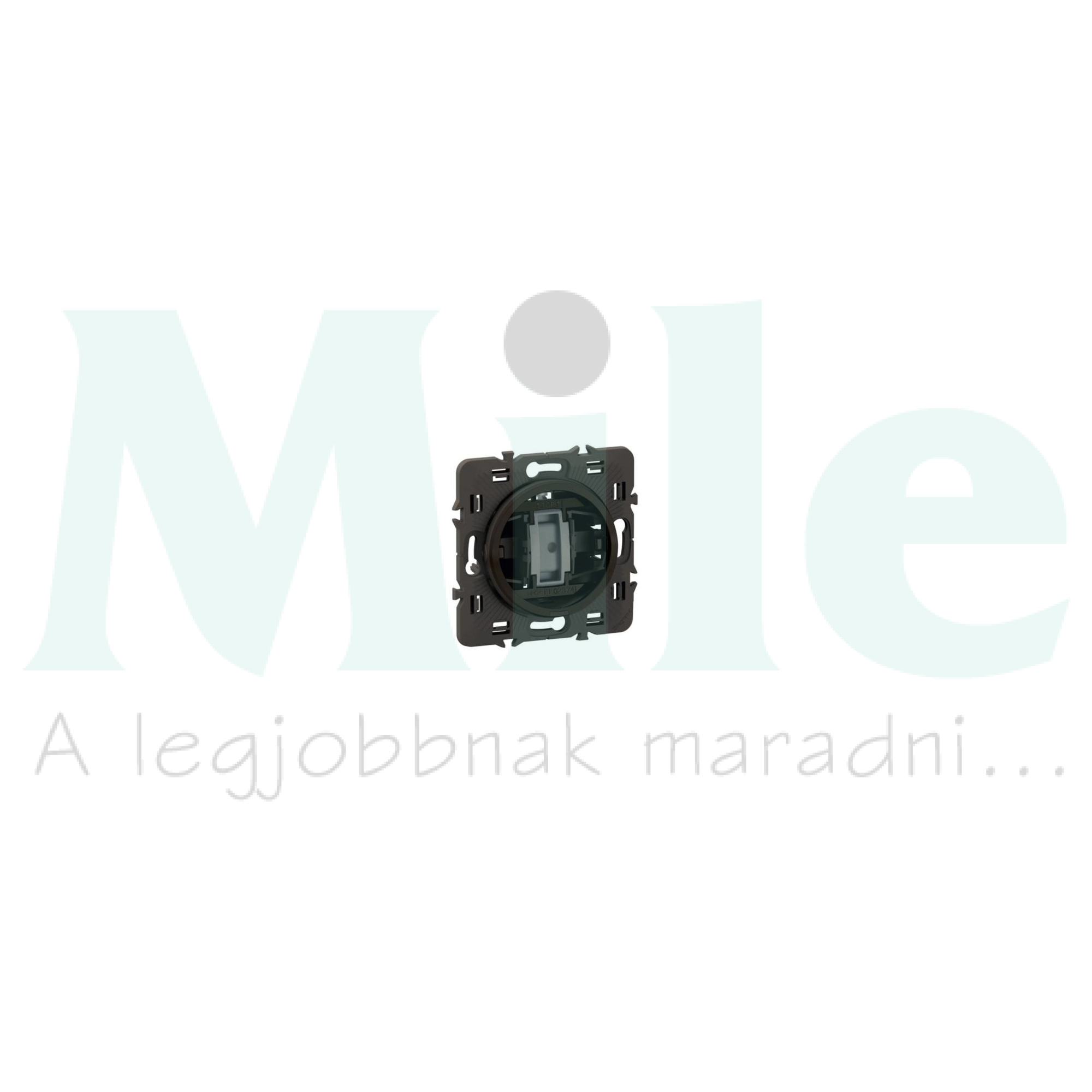 Céliane gyűrűs 106 váltókapcsoló jelzőfénnyel ellátva 10AX, mechanizmus