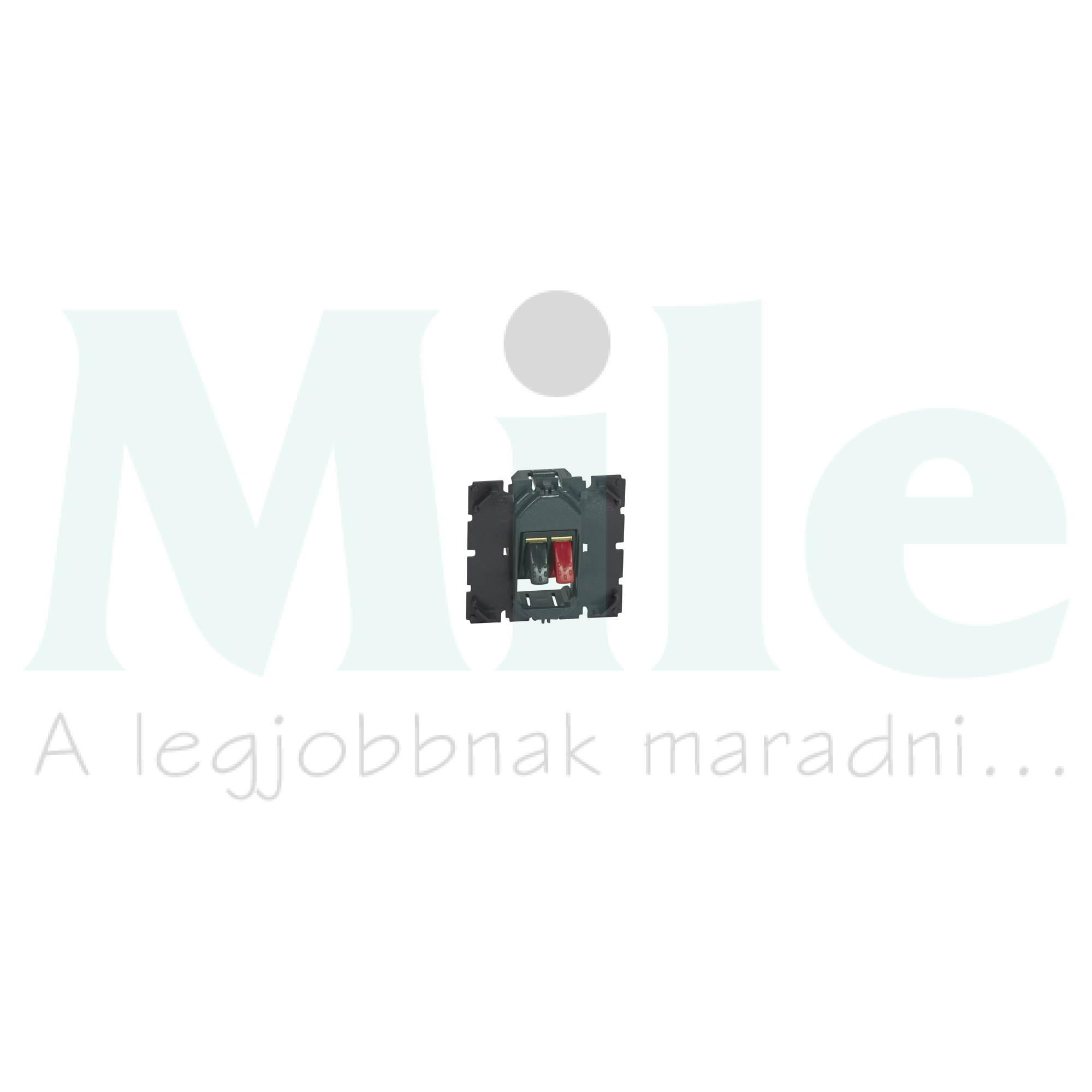 Céliane hangszóró csatlakozóaljzat 2 kivezetővel szürke LEGRAND