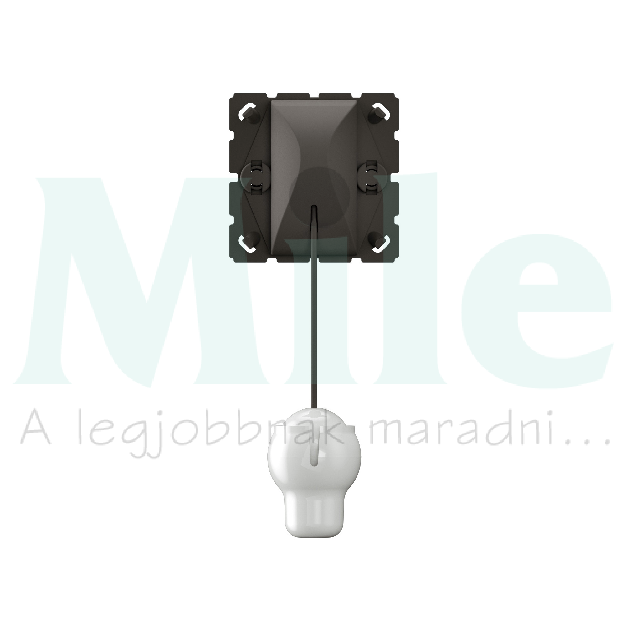 Céliane húzózsinóros 106 váltókapcsoló 10 AX, 1,5m húzózsinórral, mechanizmus