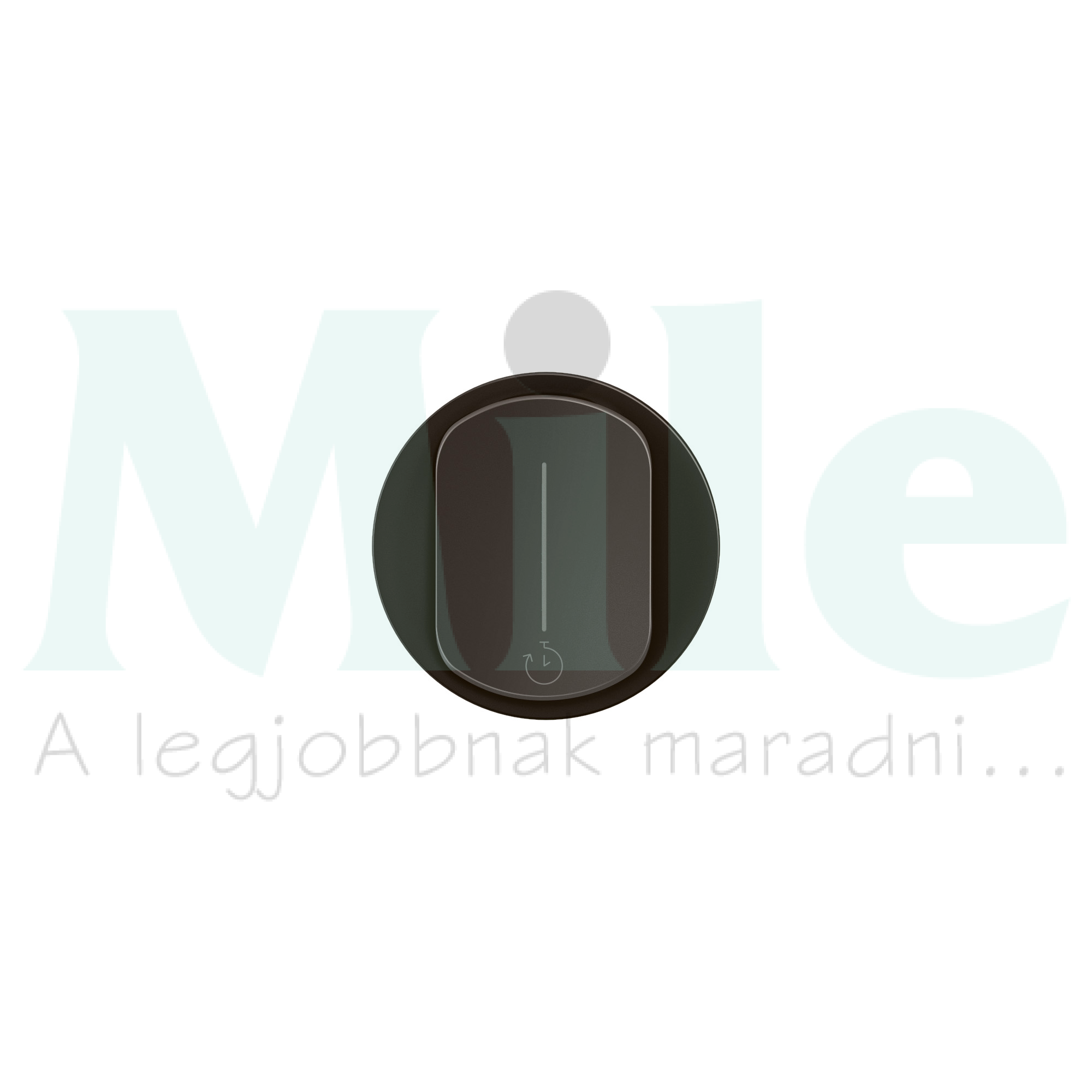 Céliane időzítő kapcsoló burkolat, fekete