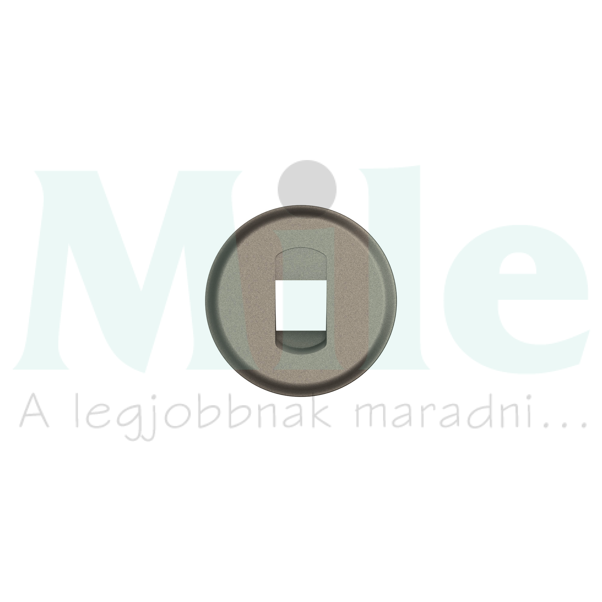 Céliane monó hangszóró csatlakozóaljzat, titánium