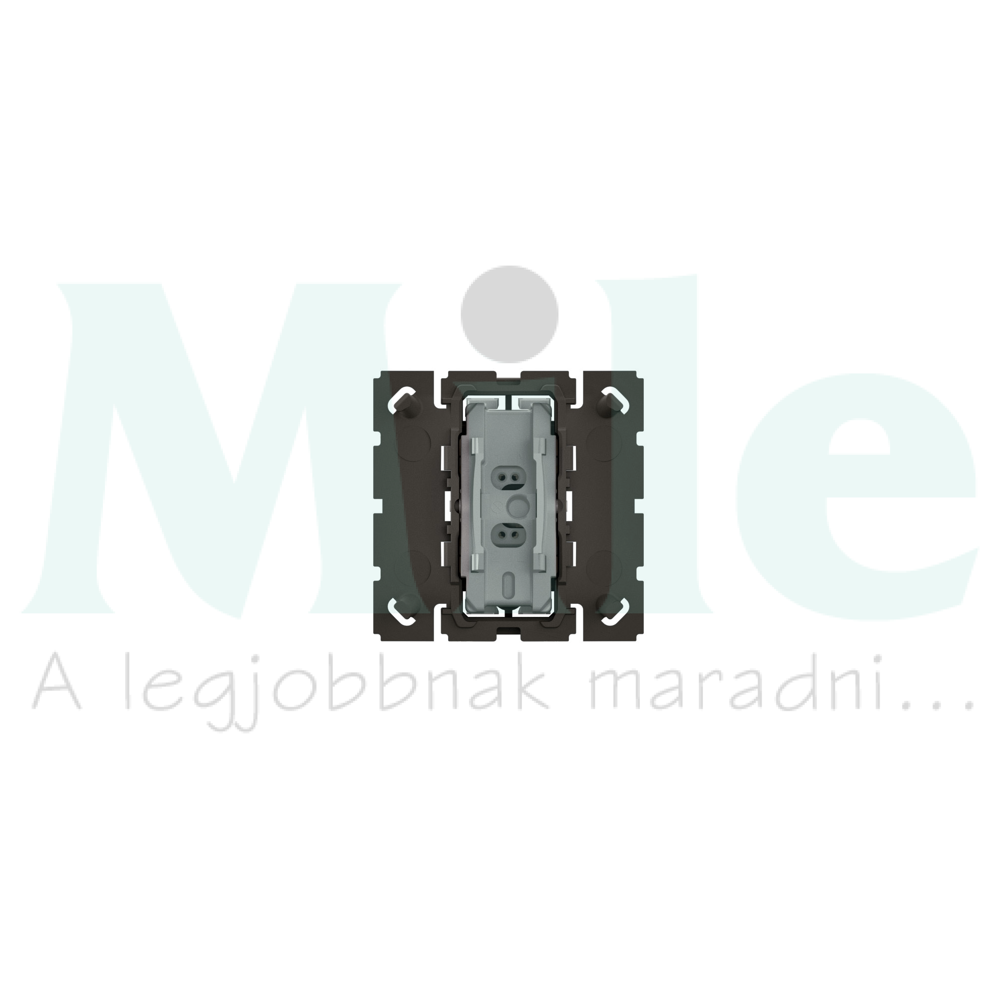 Céliane N101 nyomó 6A ellenőrzőfényessé tehető (CM0221.CM0222), mechanizmus