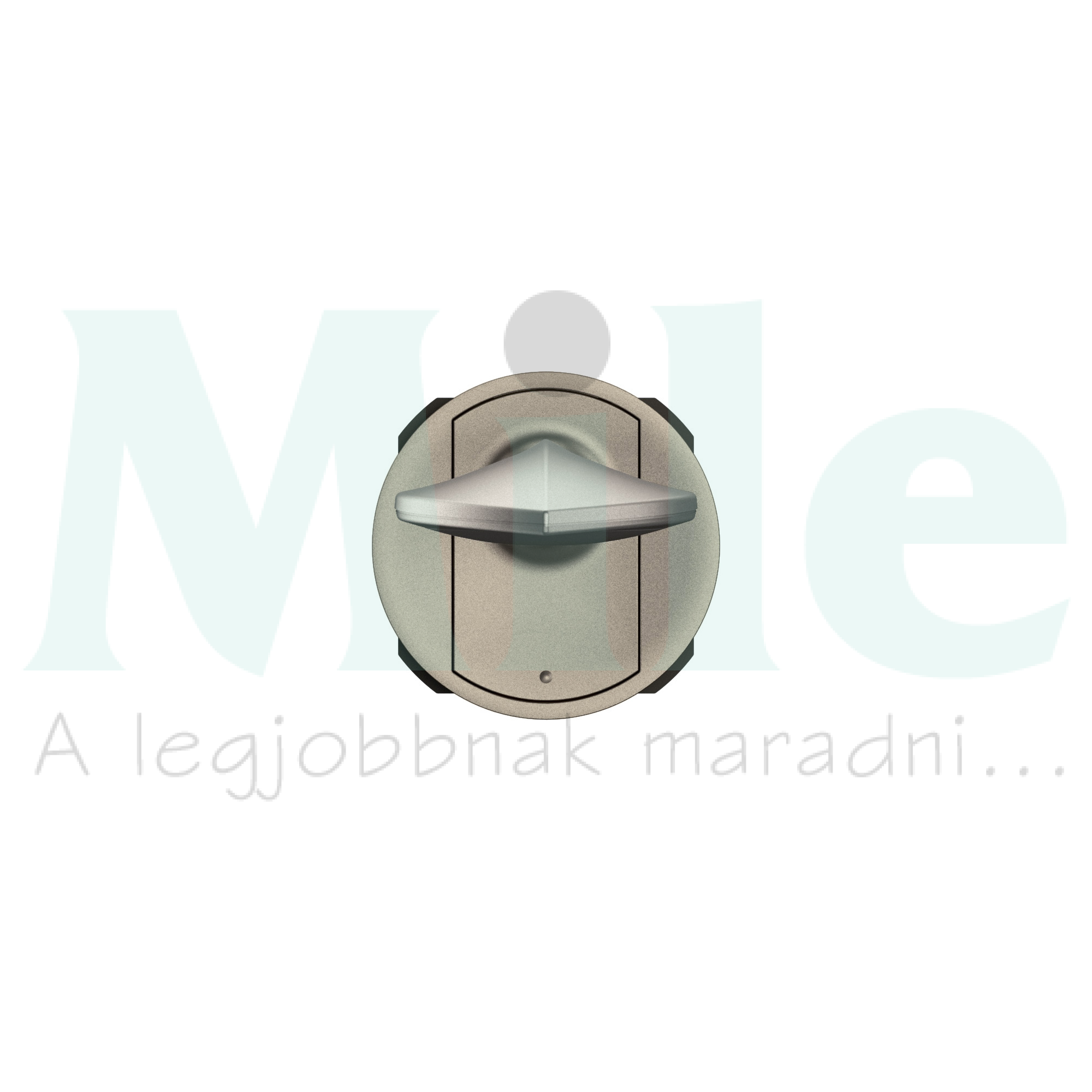 Céliane olvasólámpa kapcsolóval és fényerőszabályzással, titánium