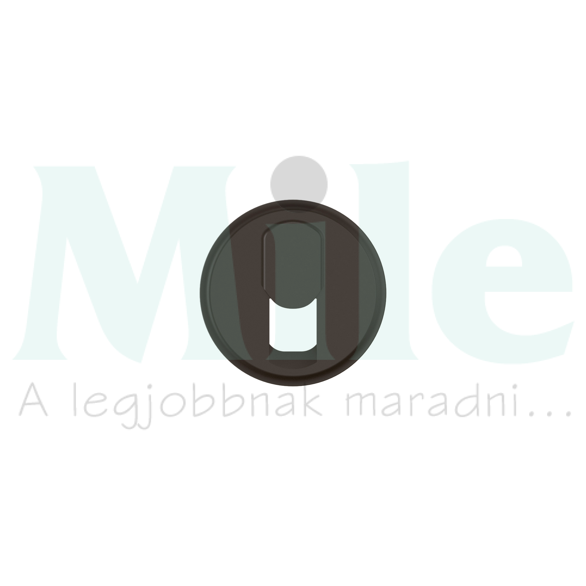 Céliane RJ11 aljzat burkolat, fekete