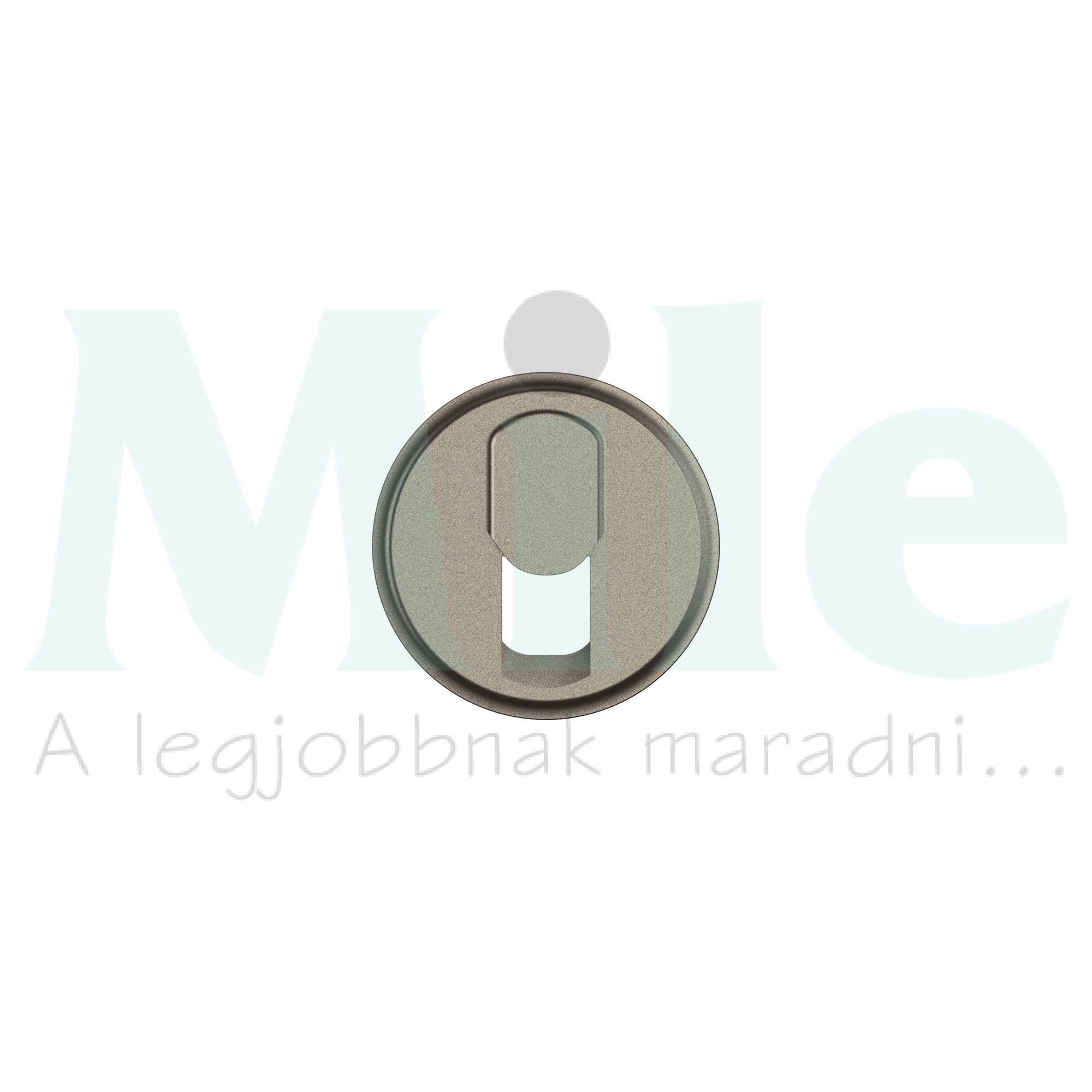 Céliane RJ11 aljzat burkolat, titánium