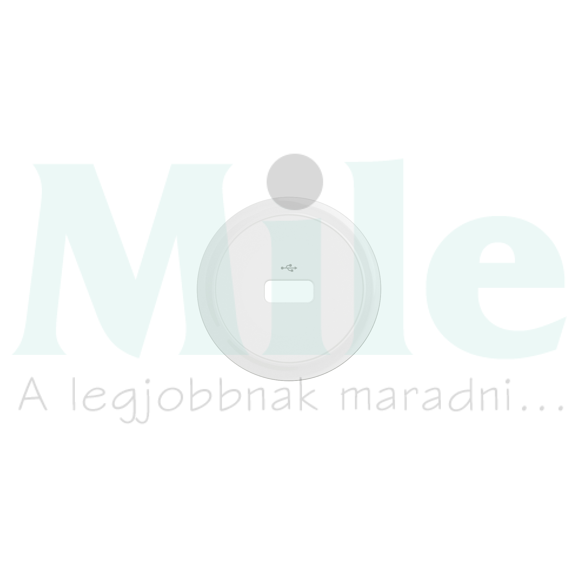 Céliane USB-A adatátviteli aljzat burkolat, fehér