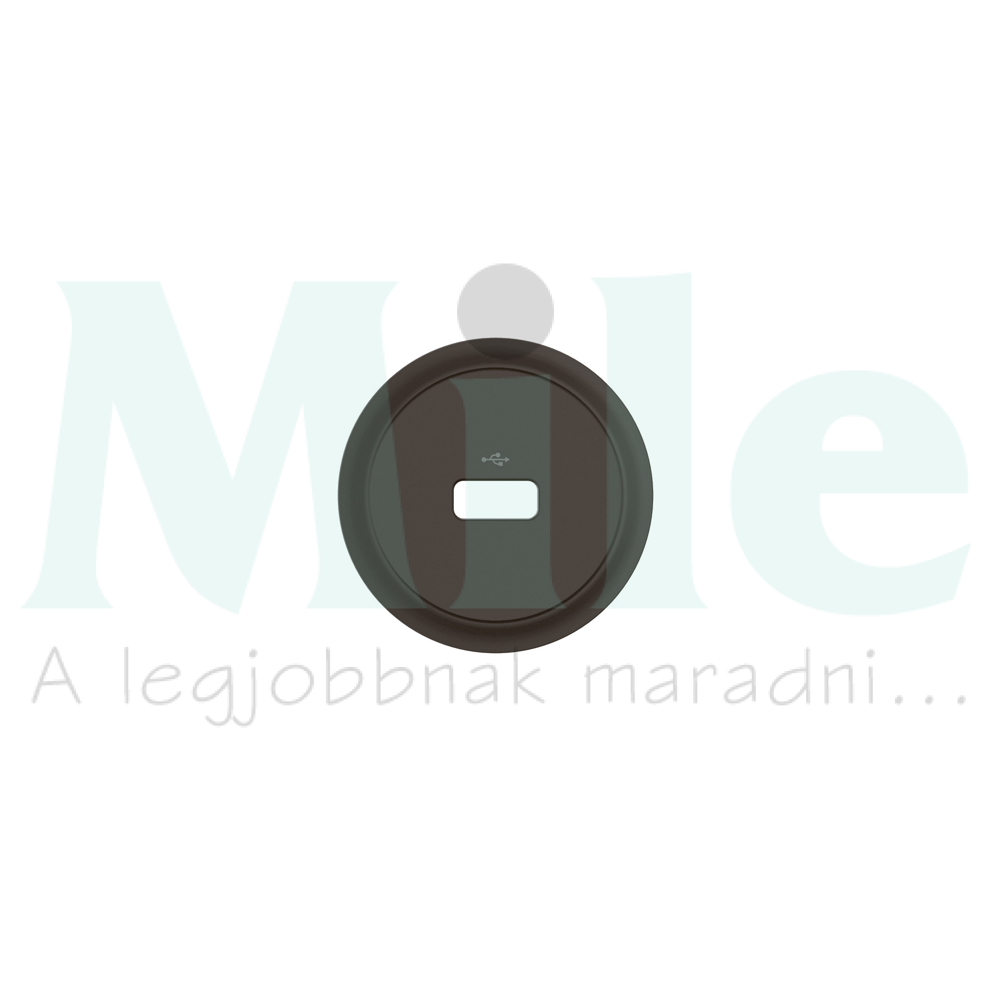 Céliane USB-A adatátviteli aljzat burkolat, fekete