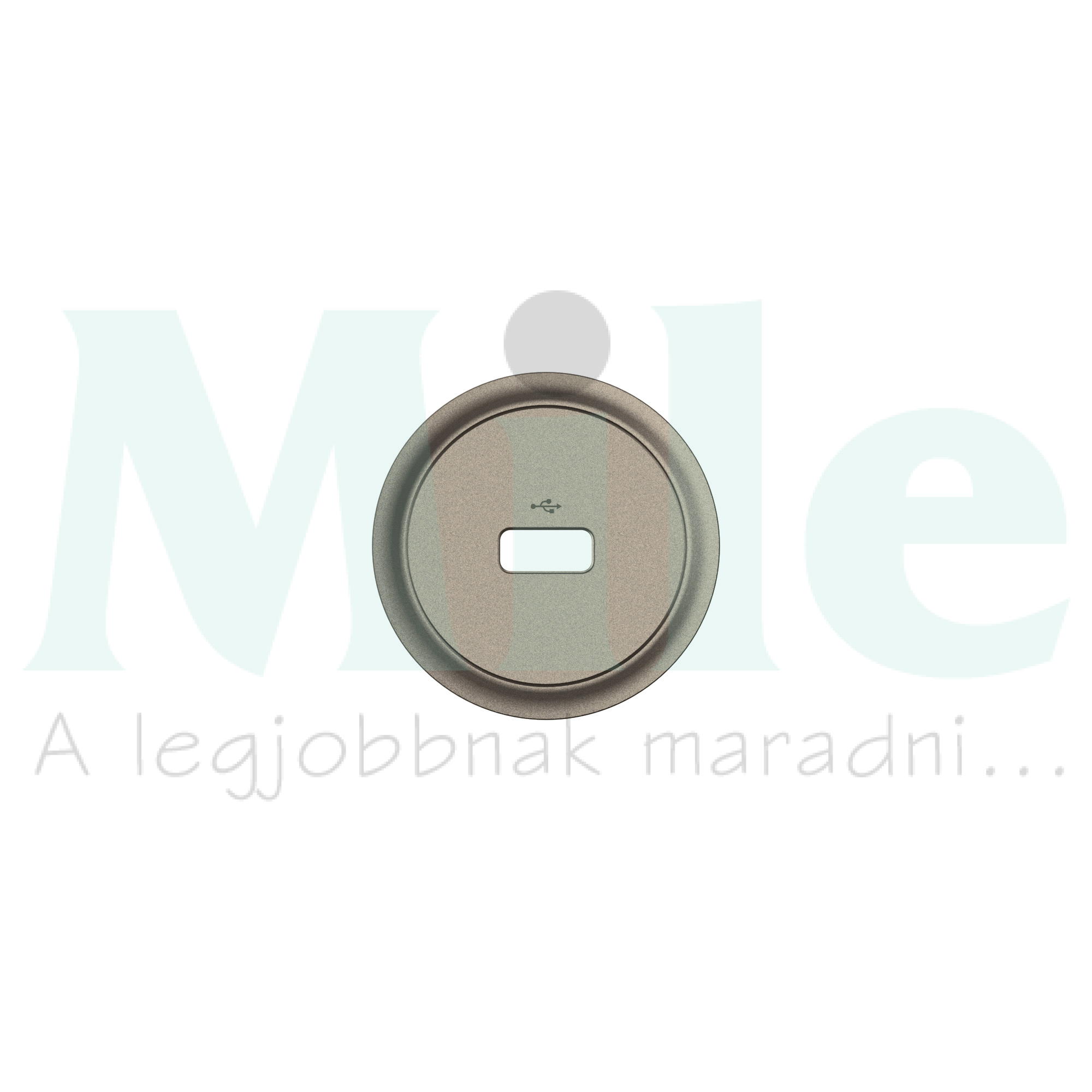 Céliane USB-A adatátviteli aljzat burkolat, titánium