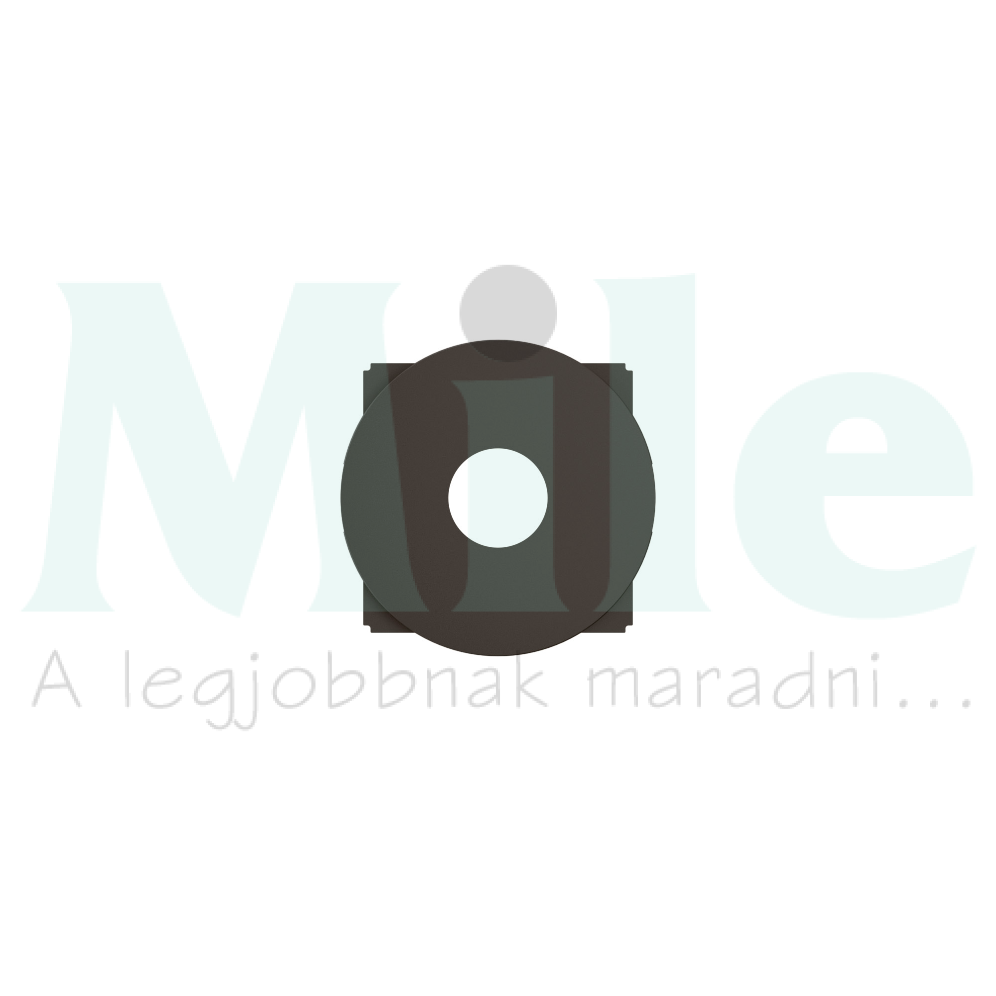 Céliane vészvilágítás kulcsos kapcsoló burkolat, fekete