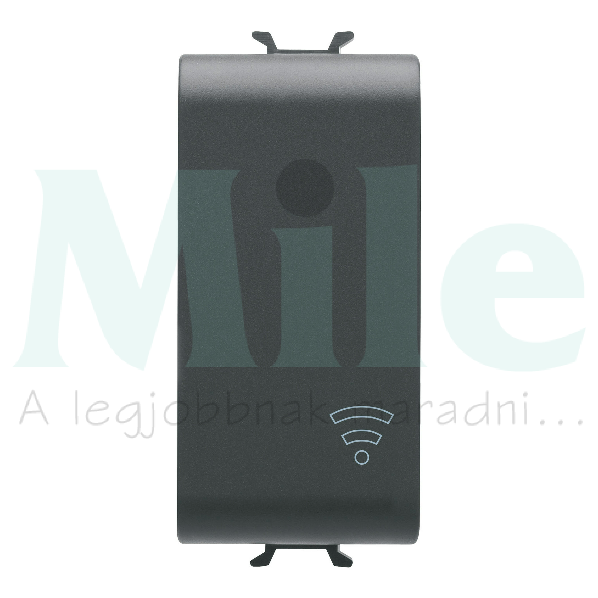 ChoruSmart vakfedél 1M ZigBee eszközökhöz fekete GEWISS