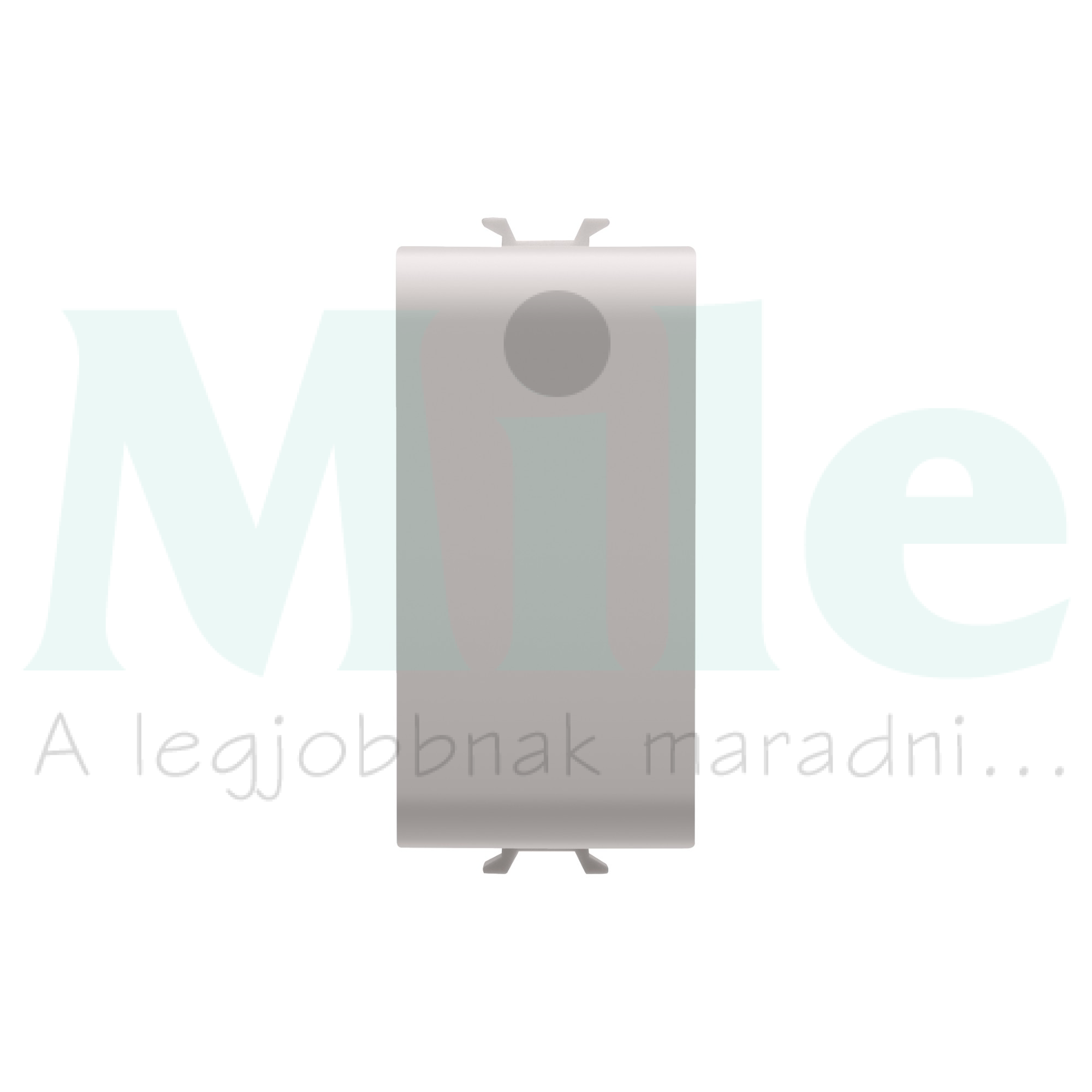 ChoruSmart vakfedél 1M GEWISS