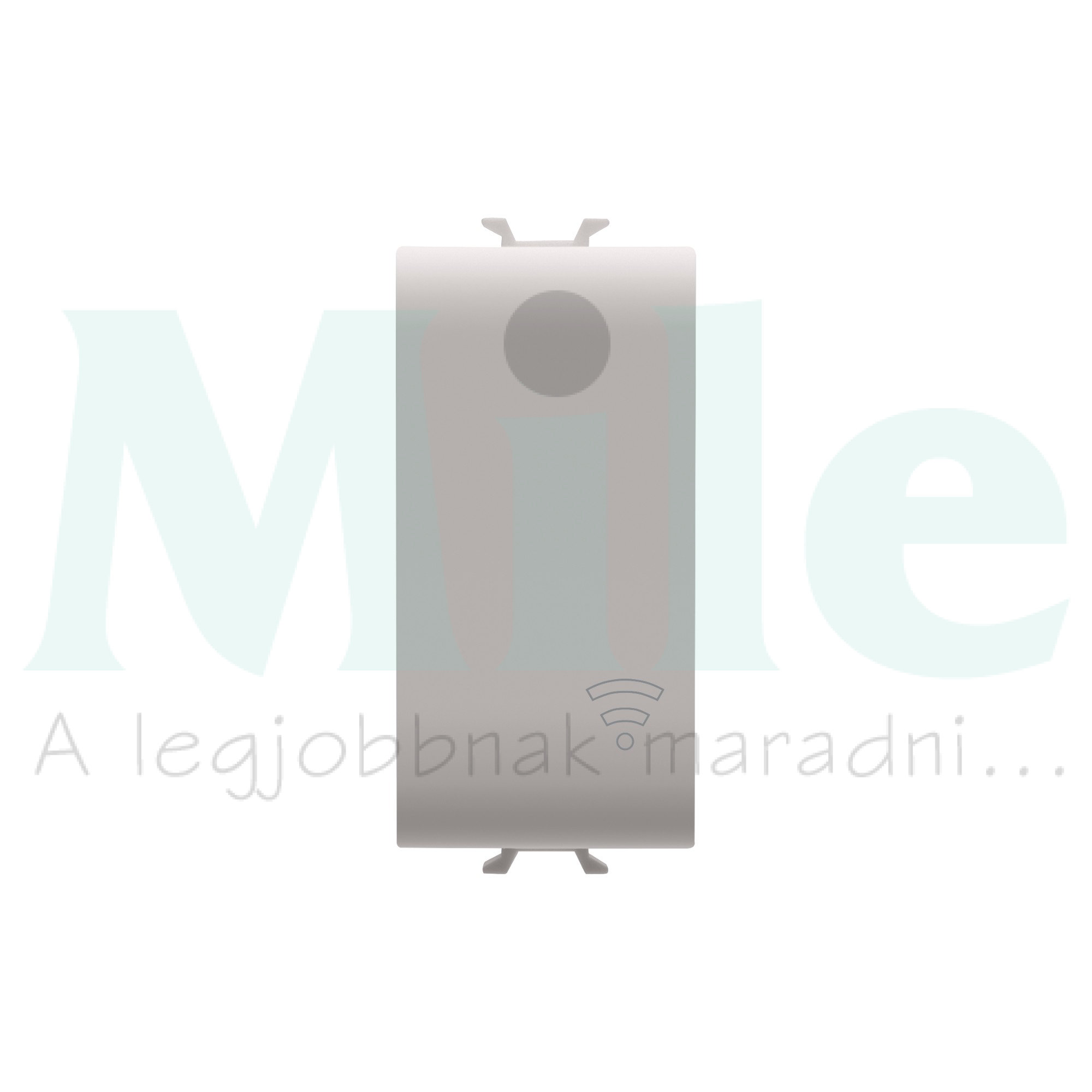 ChoruSmart vakfedél 1M ZigBee eszközökhöz bézs GEWISS