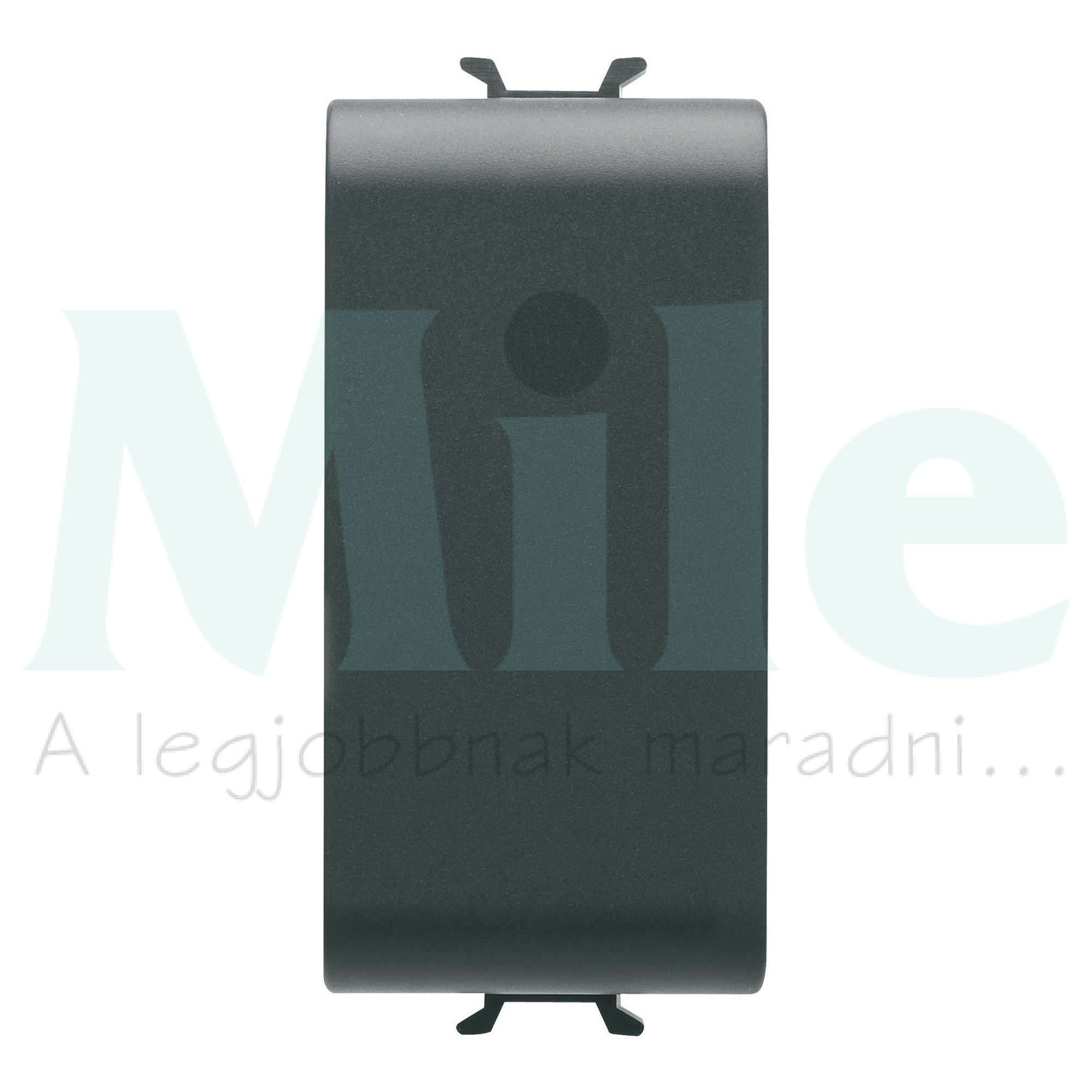 ChoruSmart vakfedél 1M fekete GEWISS