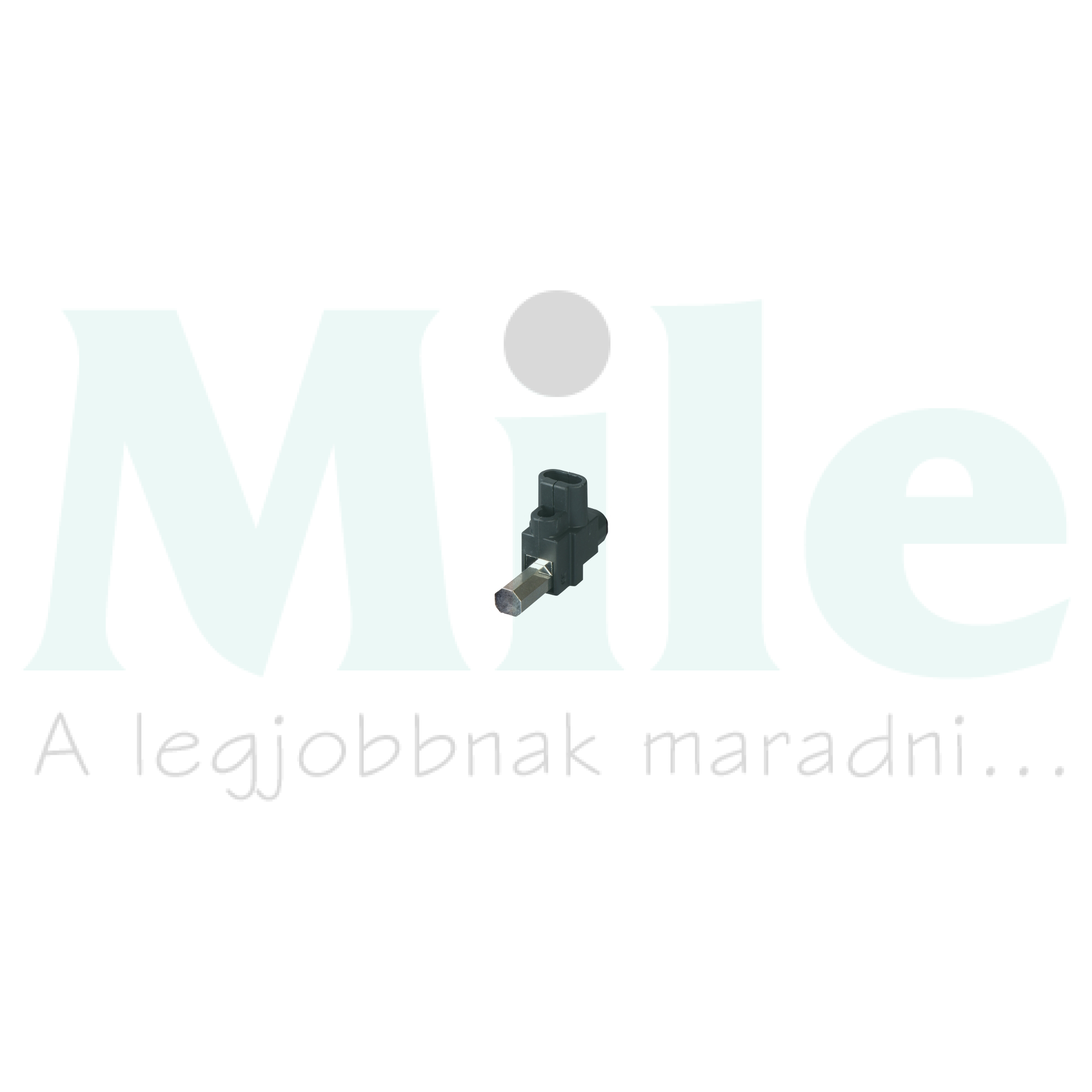 Csatlakozókapocs Ea-55 3P NG125 Schneider