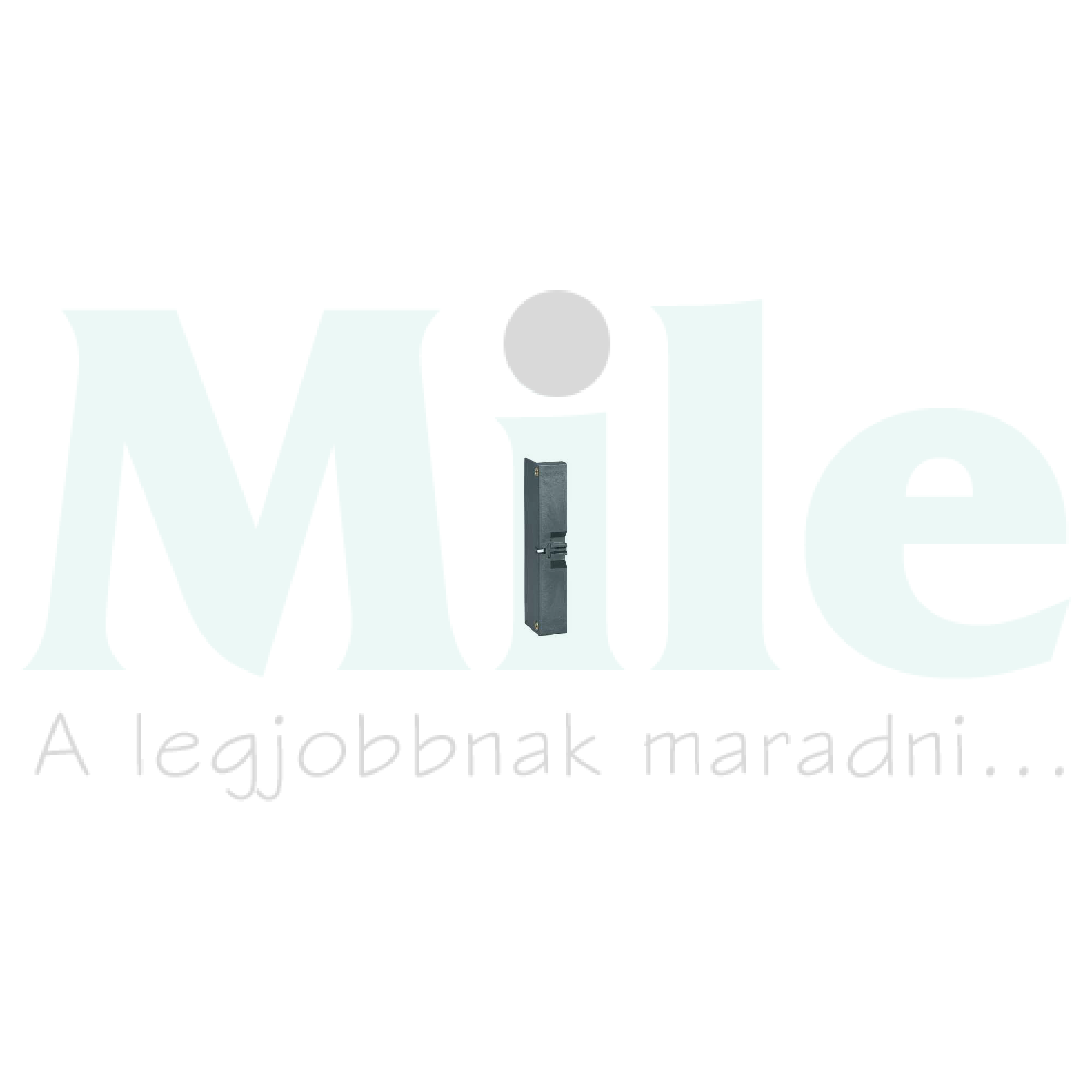 Csatlakozókapocs fedél INS100...160-hoz INS100-160 Schneider