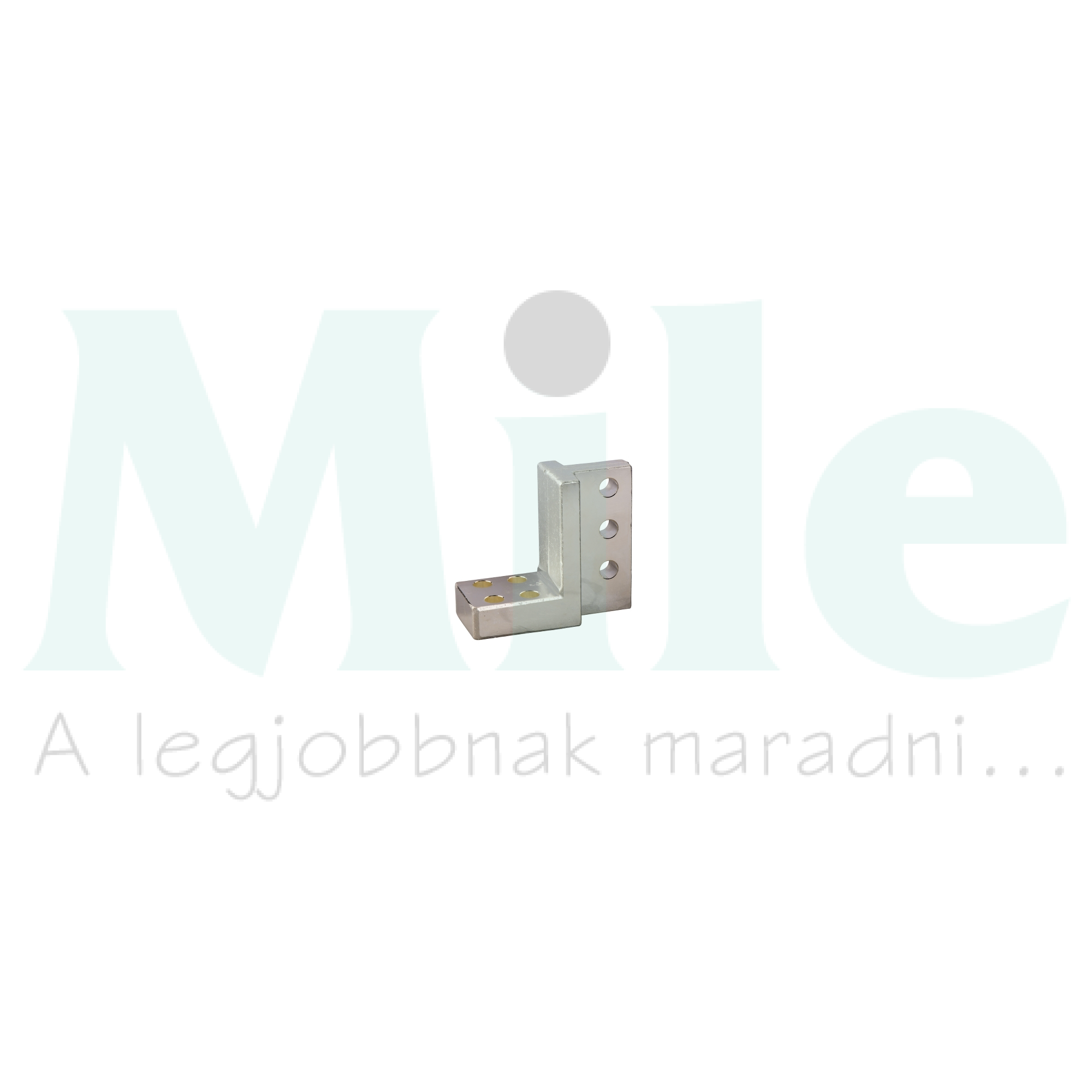 Csatlakozókapocs függőleges 3P NS630b-1600 Schneider