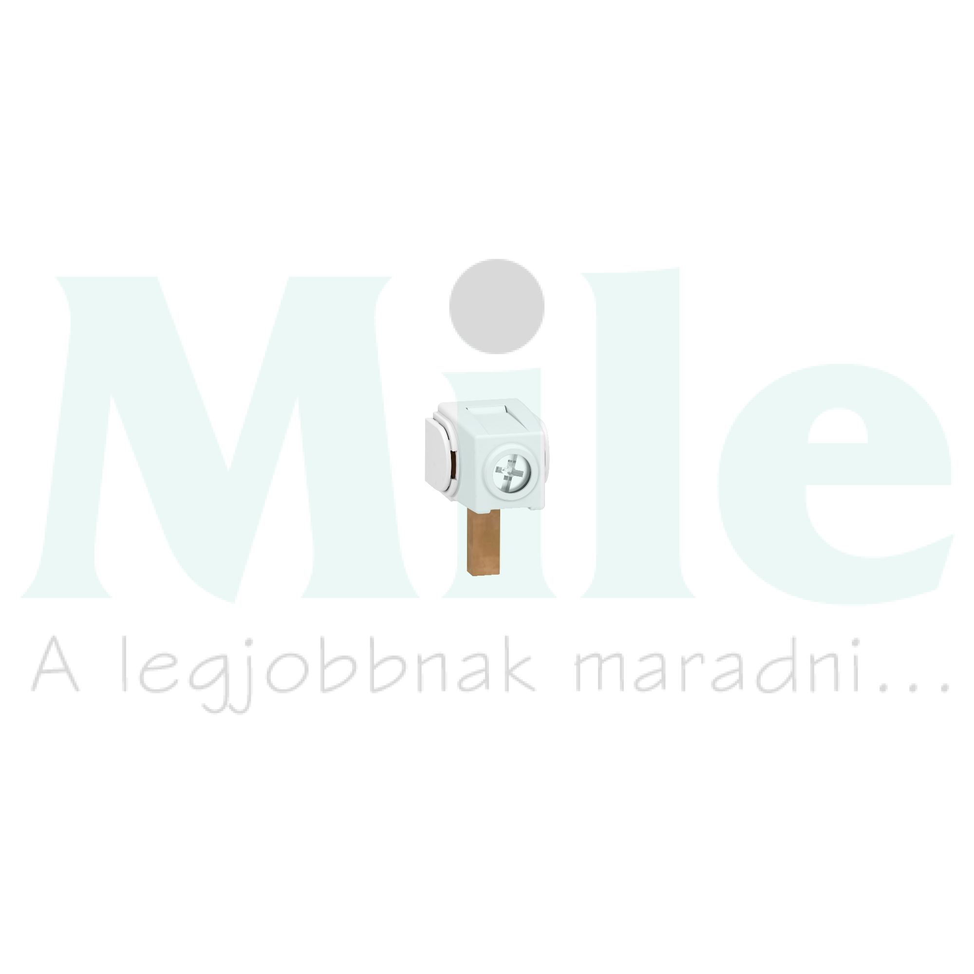 Csatlakozókapocs 100A 35mm2 kettős (4db) Acti9 Schneider