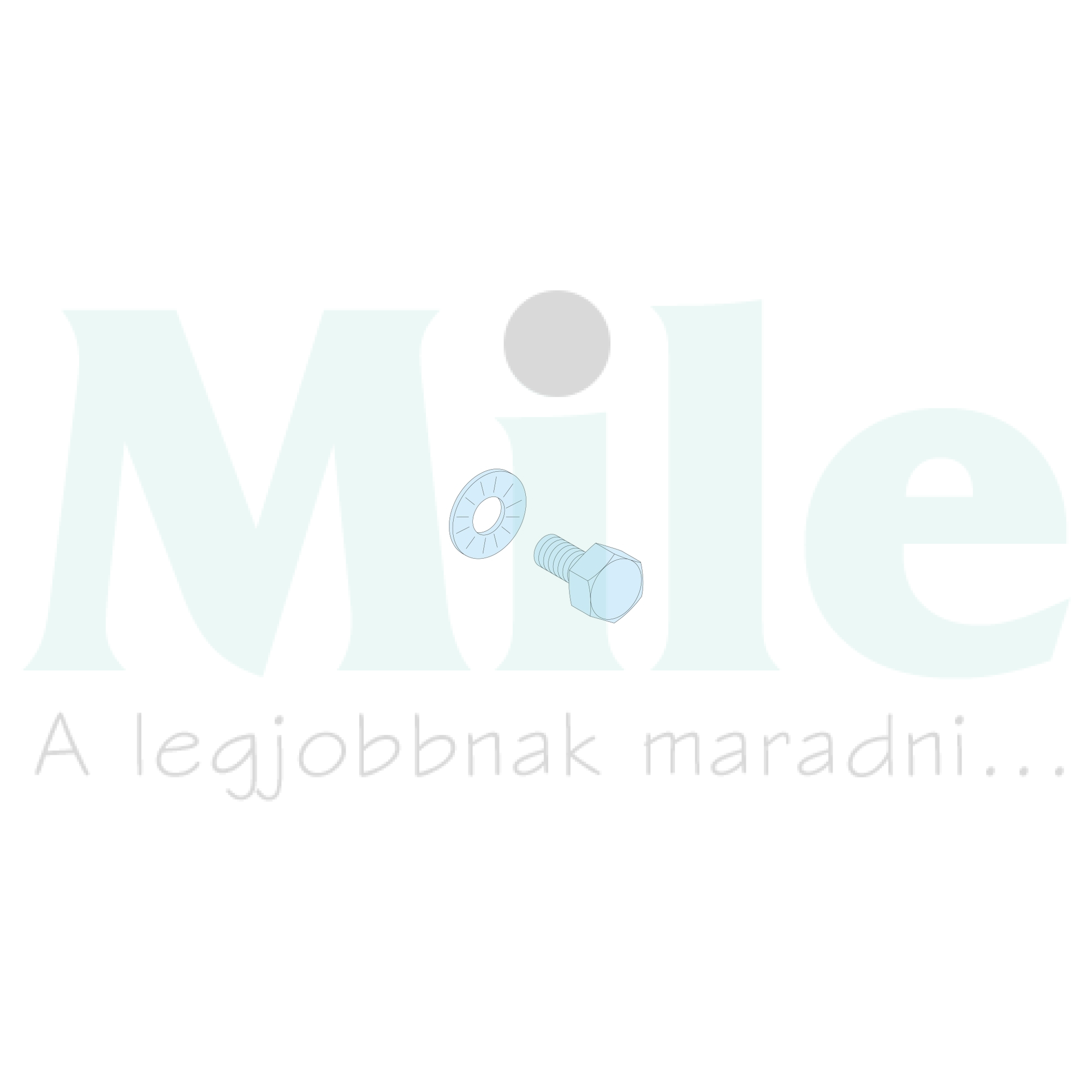 Csavar M6x16 8.8 +recés alátét kapocssínhez Prisma G/P Schneider