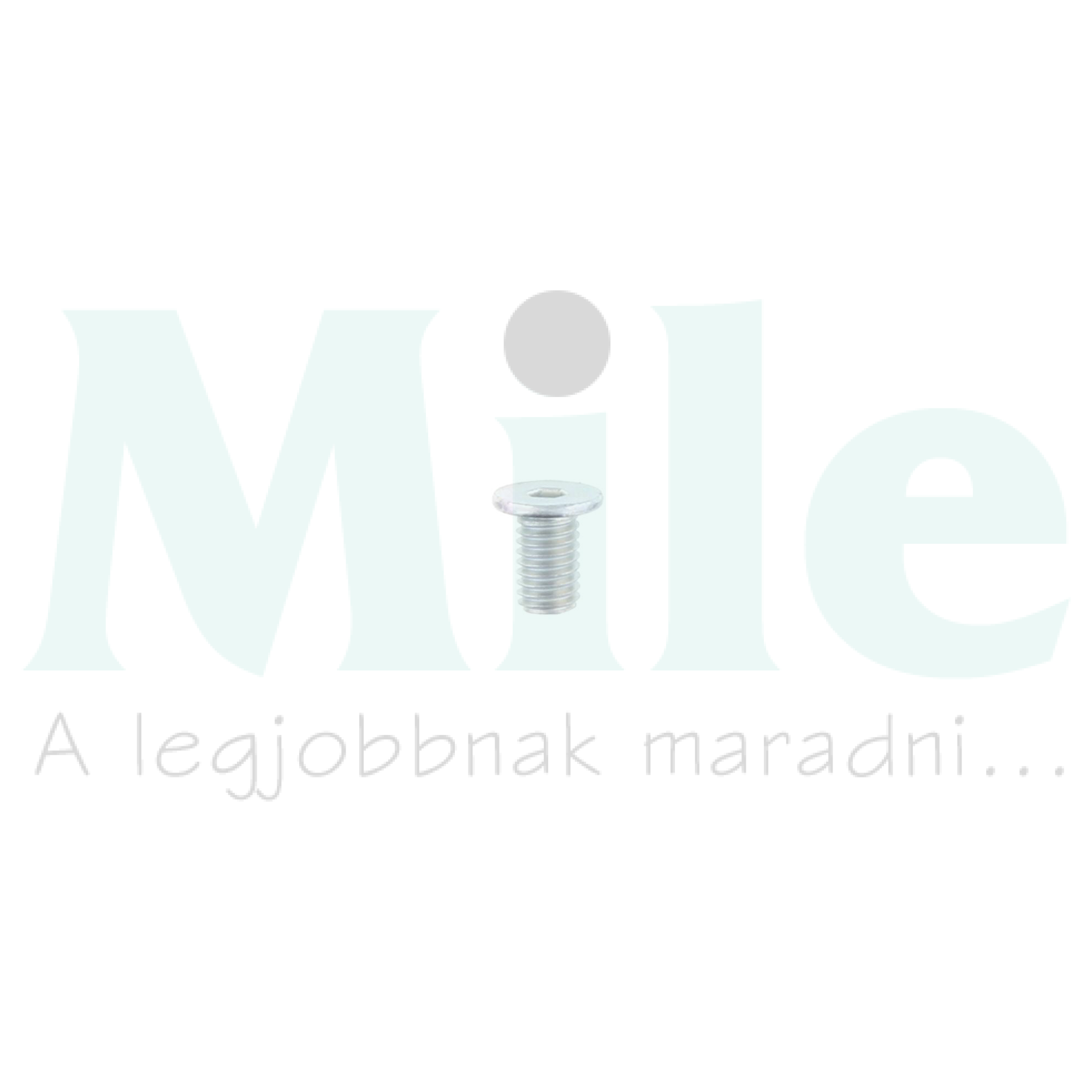 Csavar összekötőhöz M5x8/15 csavar BS M 5x8/IS CONTA-CLIP