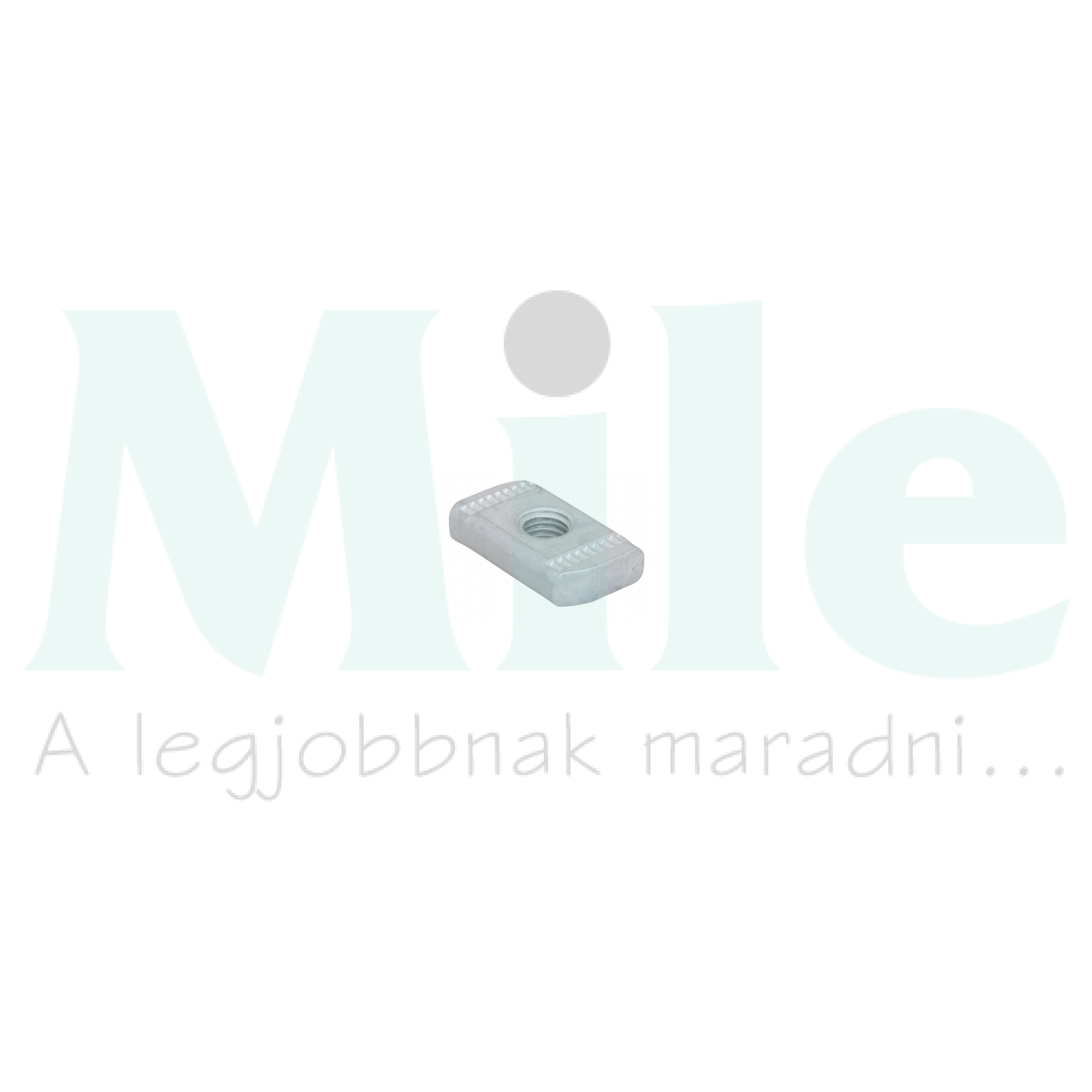 Csúszóanya 34x19x6mm acél M 8 BIS Strut (BUP1000) WALRAVEN