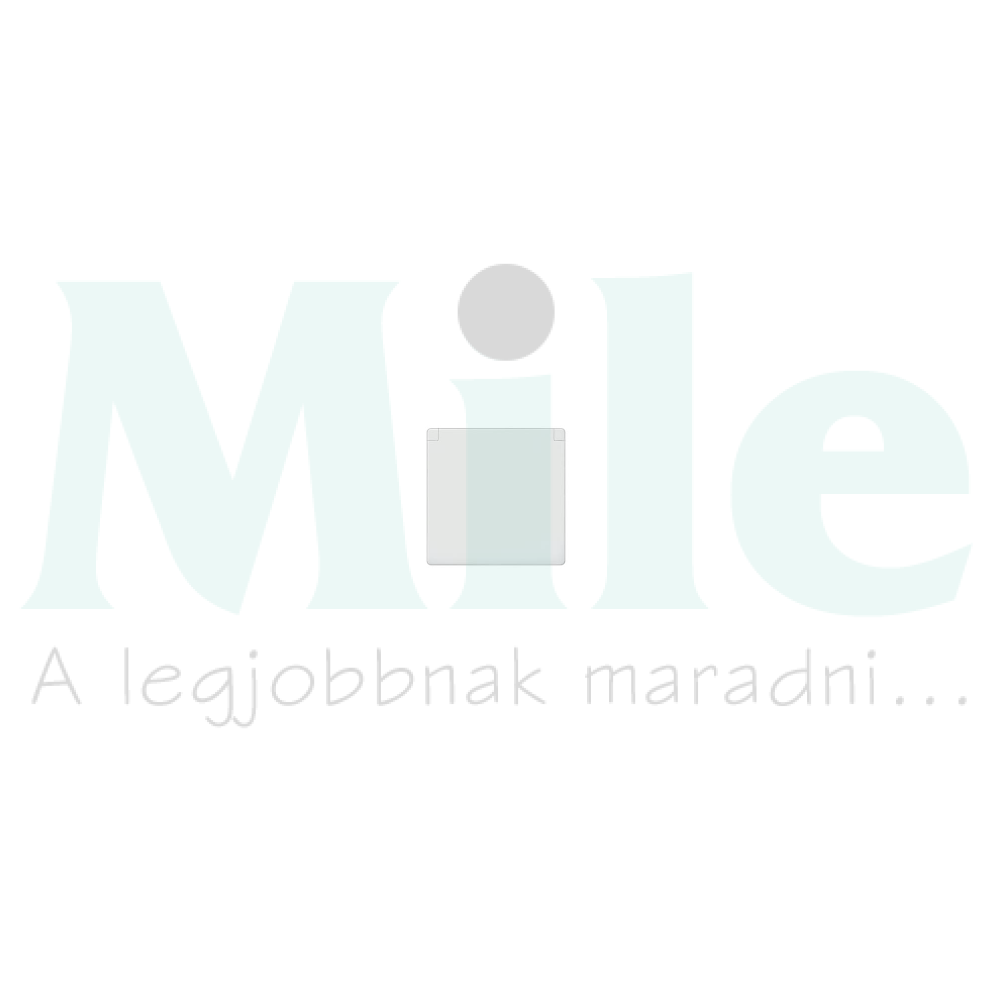 Delta I-System csapófedél dugaljhoz elektro fehér  5UH SIEMENS