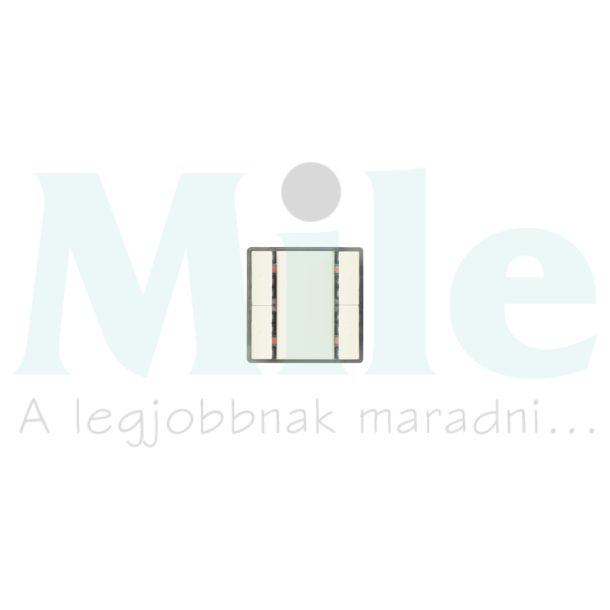 Delta KNX nyomógomb 2pár=4gomb fehér műanyag 5WG Gamma SIEMENS