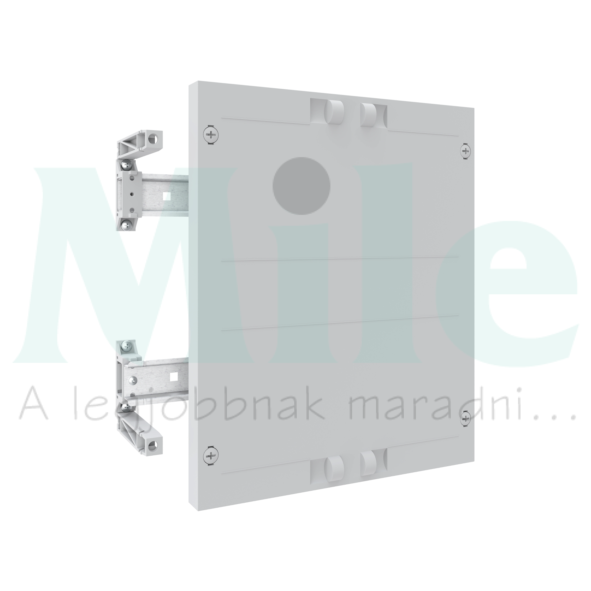 Beépítőkészlet DIN-sínnel sorkapocshoz homloklappal 300mm x 250mm Easy PrismaSeT XL Schneider