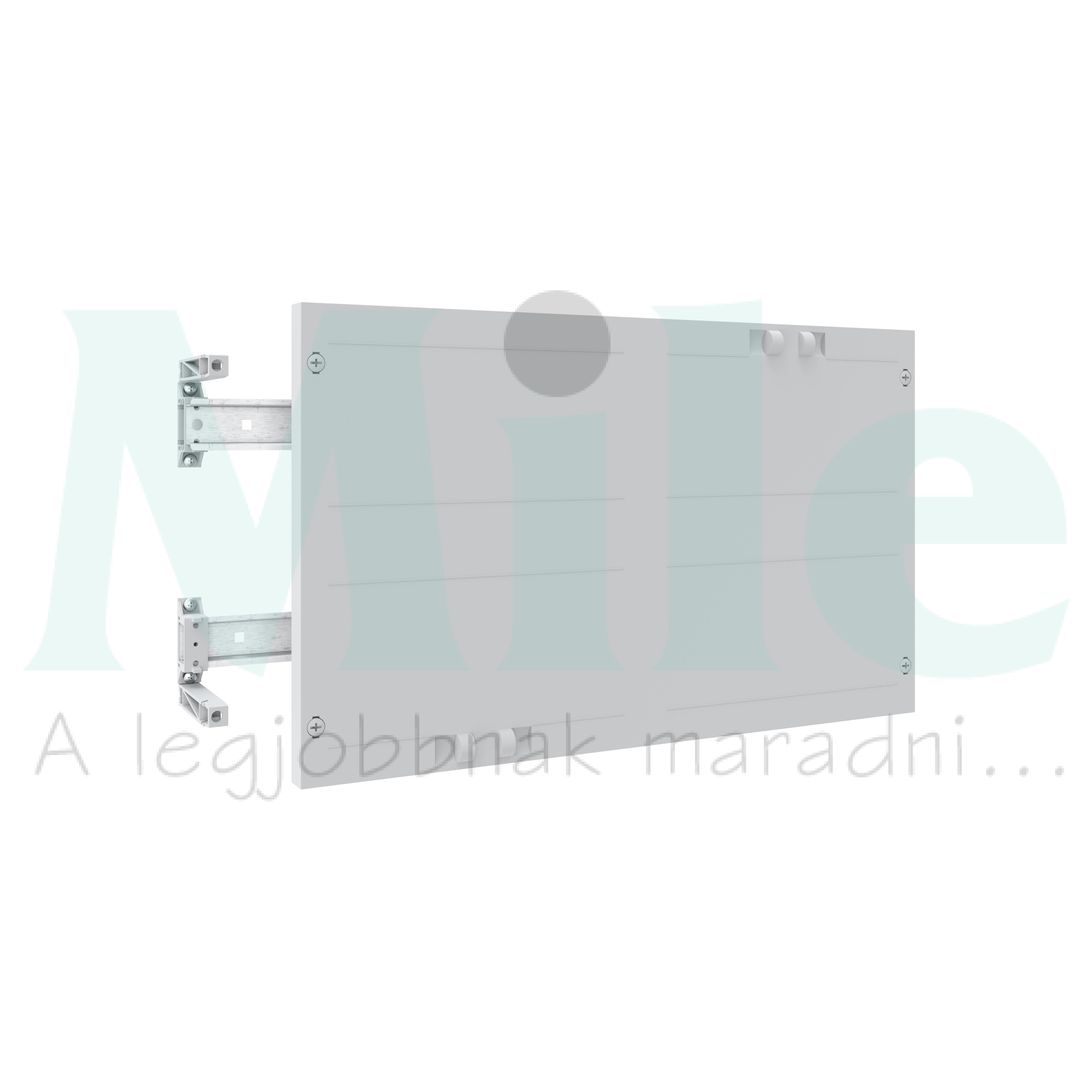 Beépítőkészlet DIN-sínnel sorkapocshoz homloklappal 300mm x 500mm Easy PrismaSeT XL Schneider