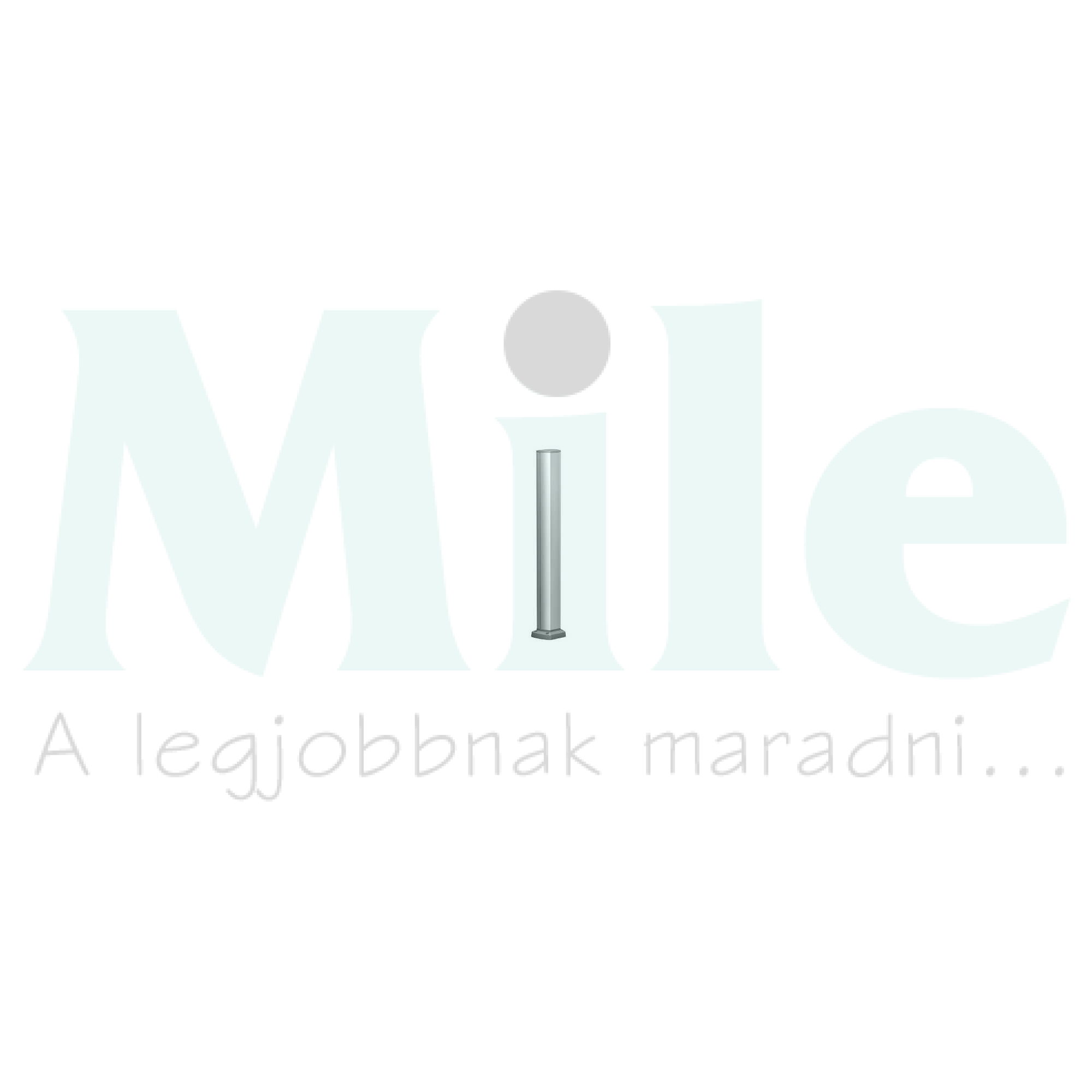 Energiaoszlop mini 12M ovális egyoldalas 1-rekeszes 700mm-ma 45mm-sz/fedél OptiLine 45 Schneider