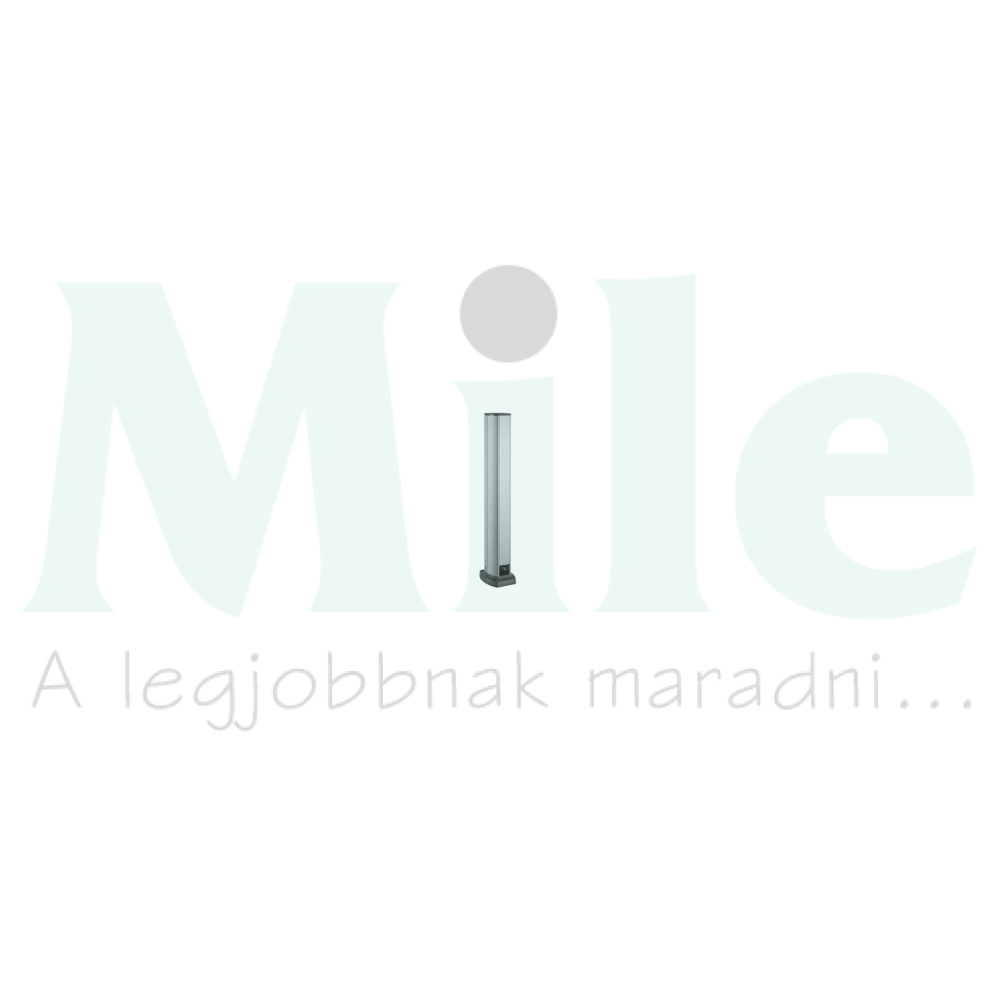 Energiaoszlop mini 12M ovális kétoldalas 2-rekeszes 700mm-ma 45mm-sz/fedél OptiLine 45 Schneider
