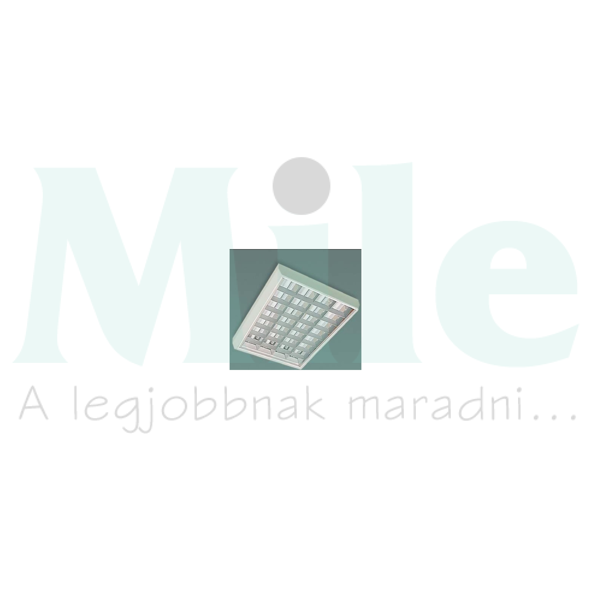 Fénycsöves lámpatest mennyezeti falonkívüli 2x 36W 220-240V G13 IP20 RE-MVFE REFLECT