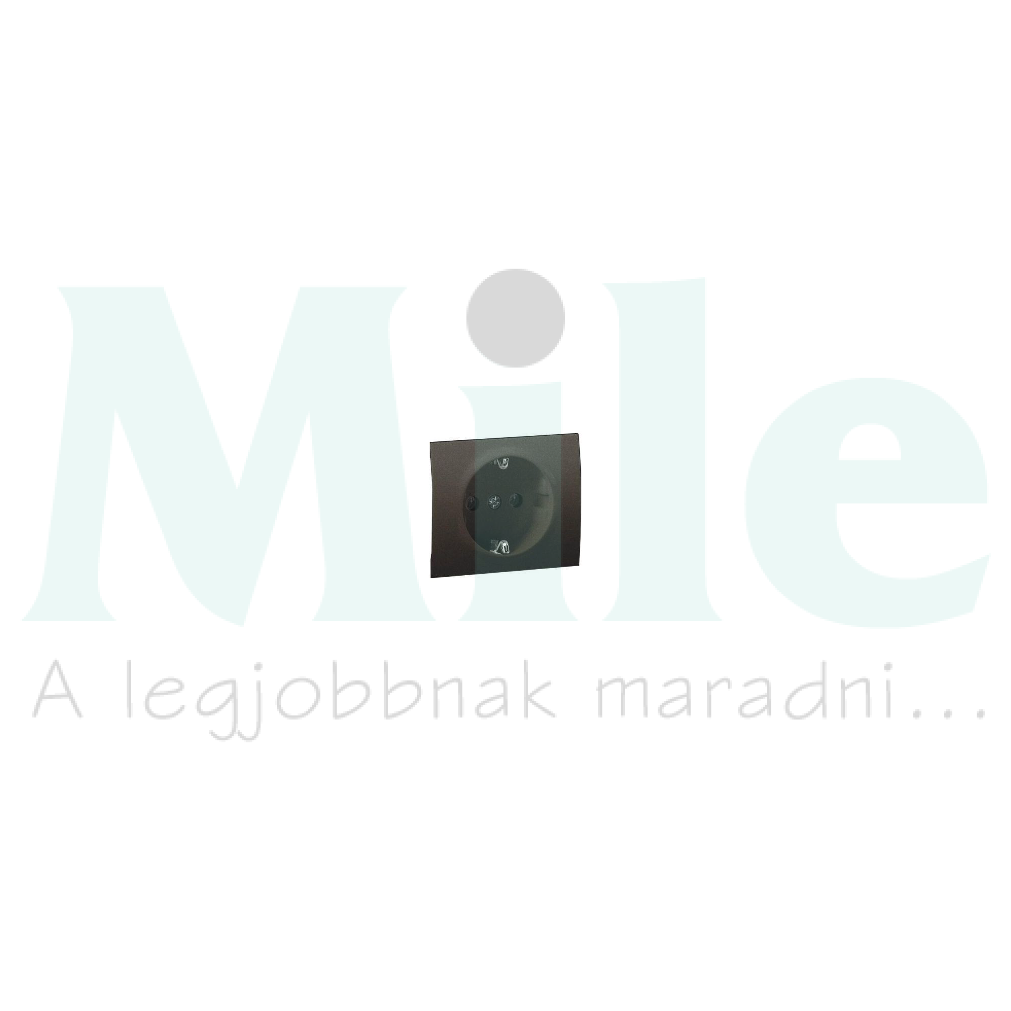 Galea fedlap 162 dugaljhoz gyerekzáras mélybronz  LEGRAND