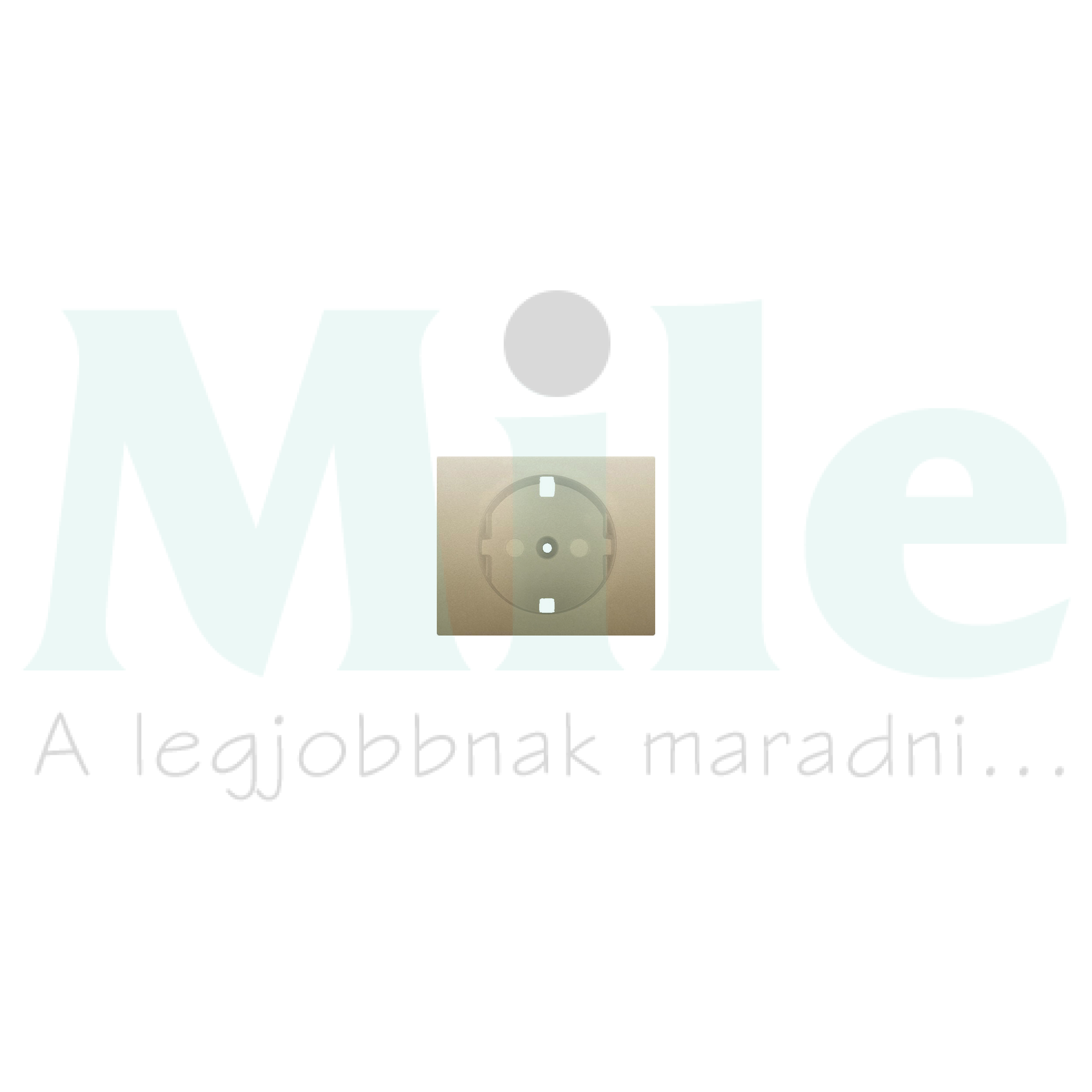 Galea fedlap 162 dugaljhoz gyerekzáras titán  LEGRAND