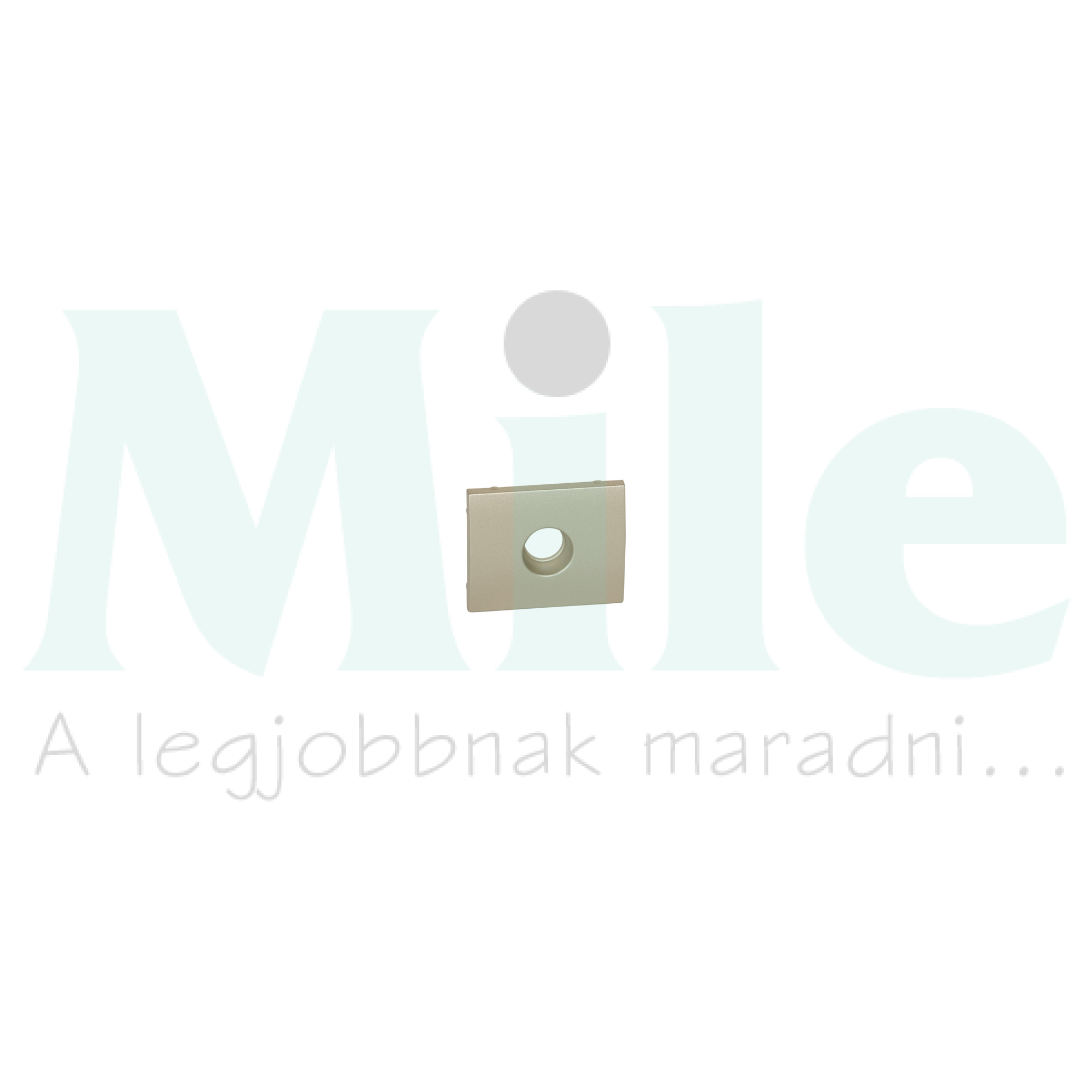 Galea fedlap TV központi fedlap titán IP20 műanyag fényes bepattintás LEGRAND