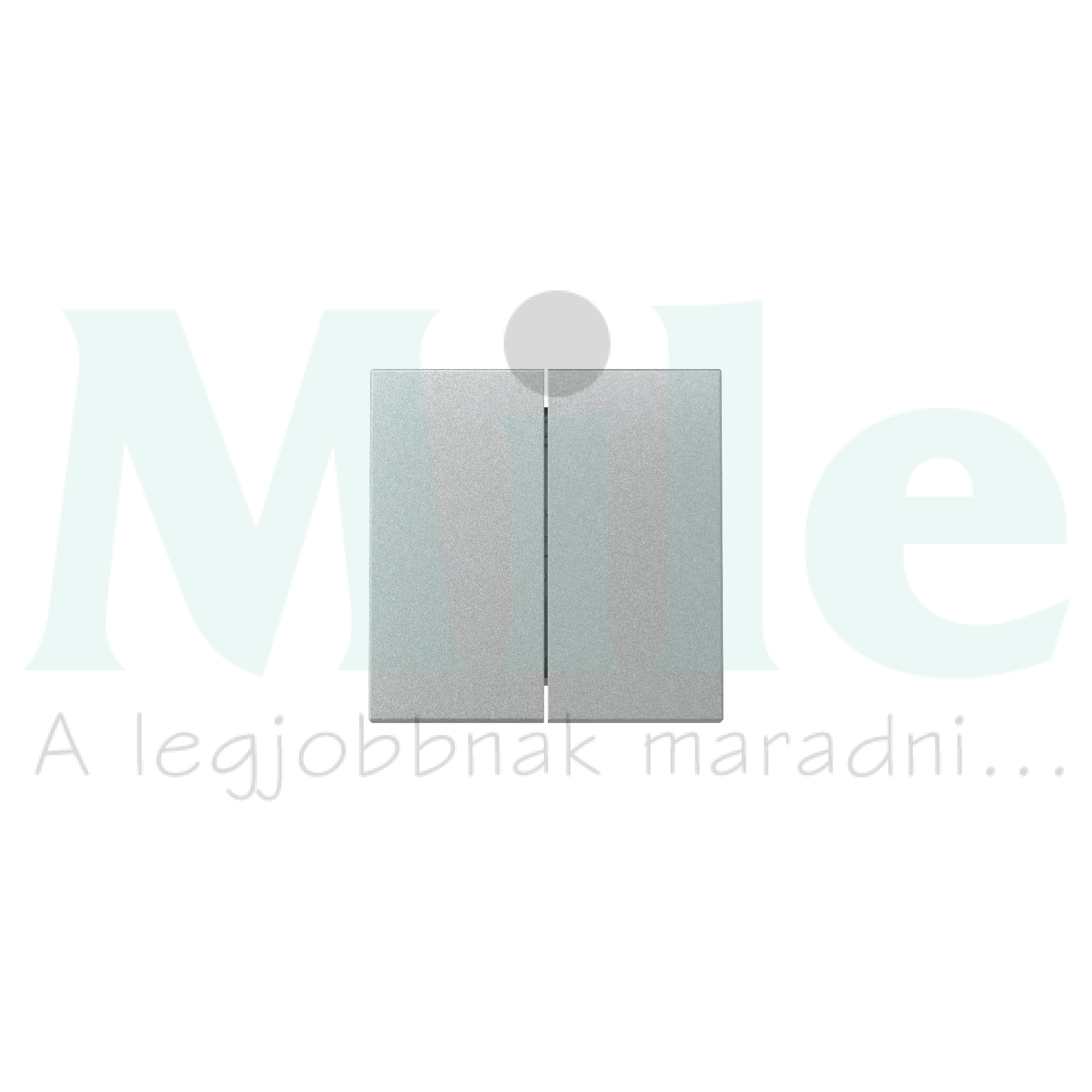 ST55 billentyű műanyag alumínium GIRA