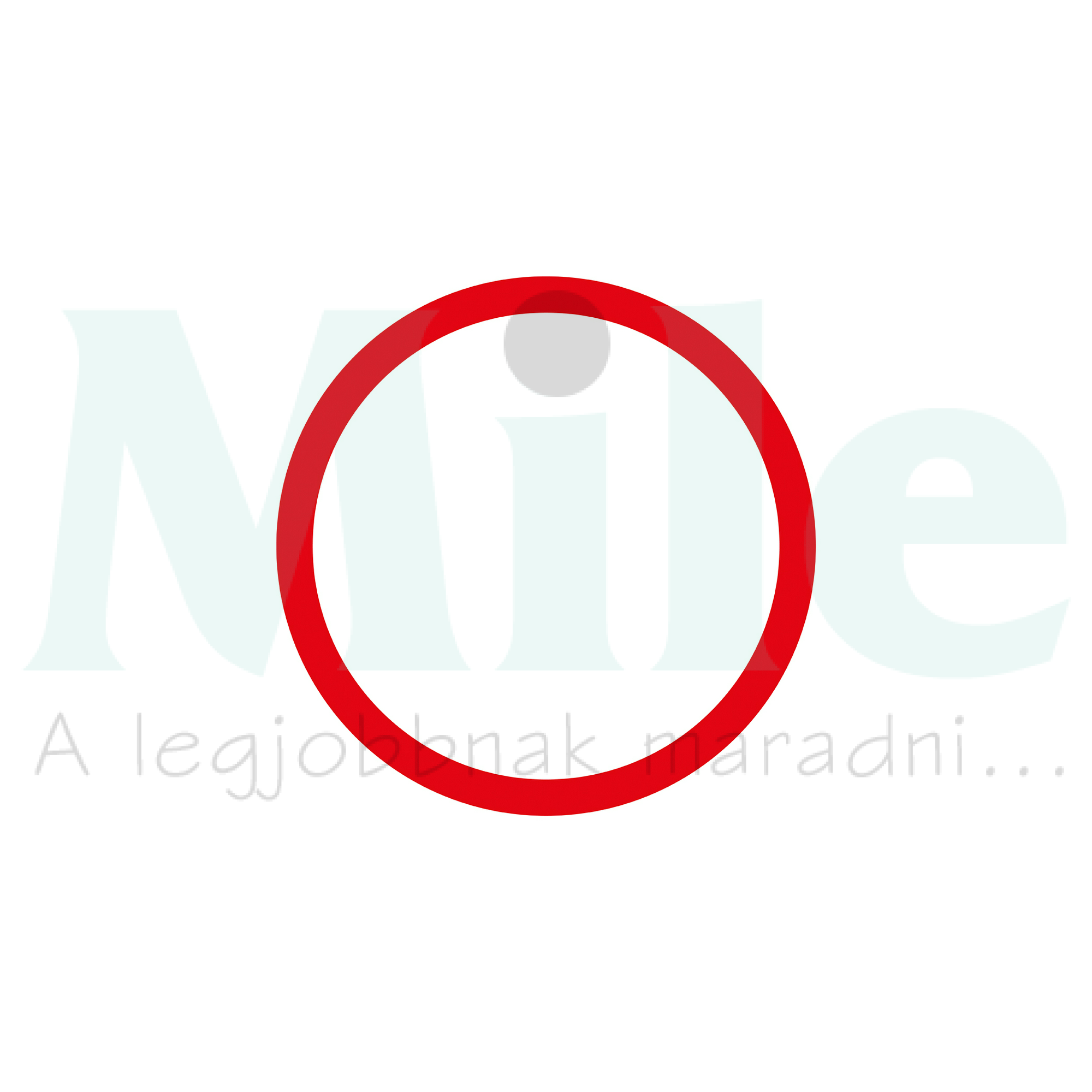 Tömítőgyűrű eLock elektromos cilinderzárhoz piros eLock DR-ROT GROTHE