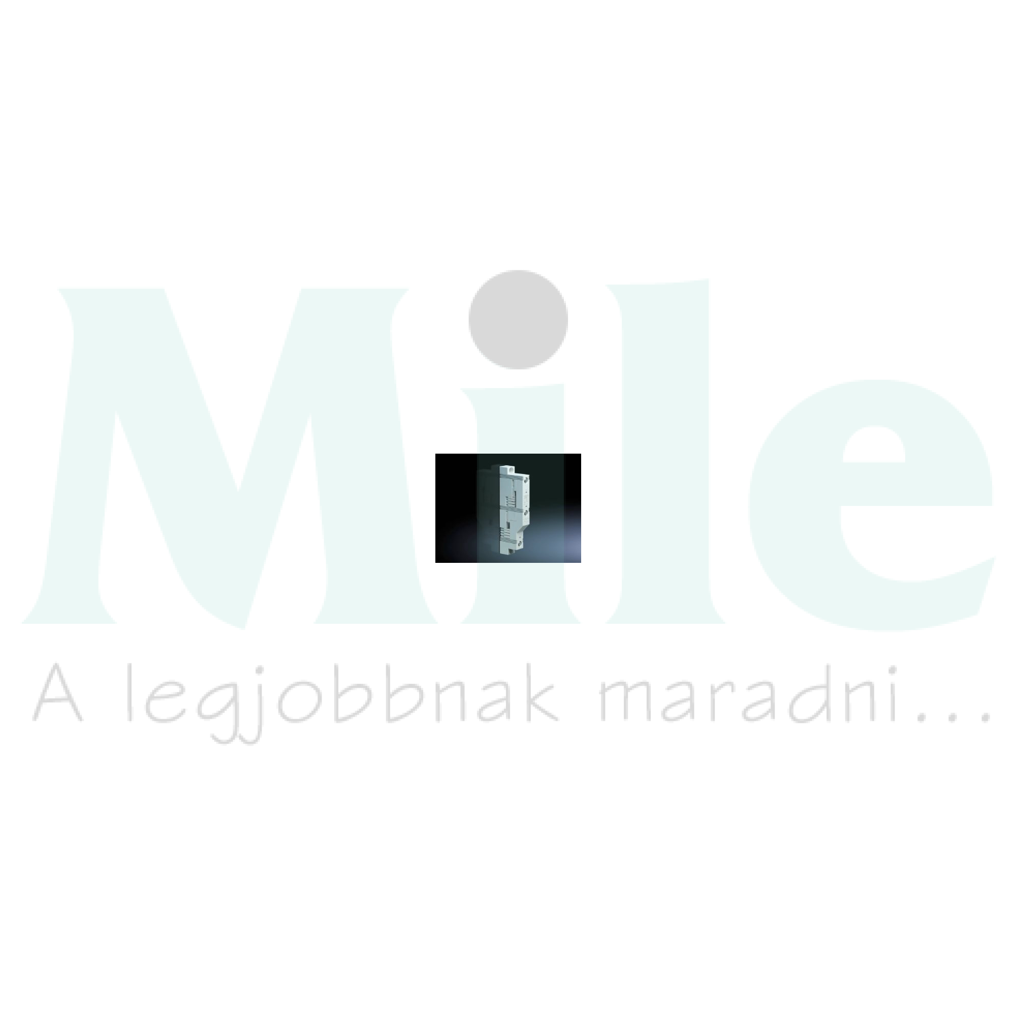 Gyűjtősíntartó (4db) PE/N 12x5/30x10mm 2-pólus 60mm-síntáv SV Rittal