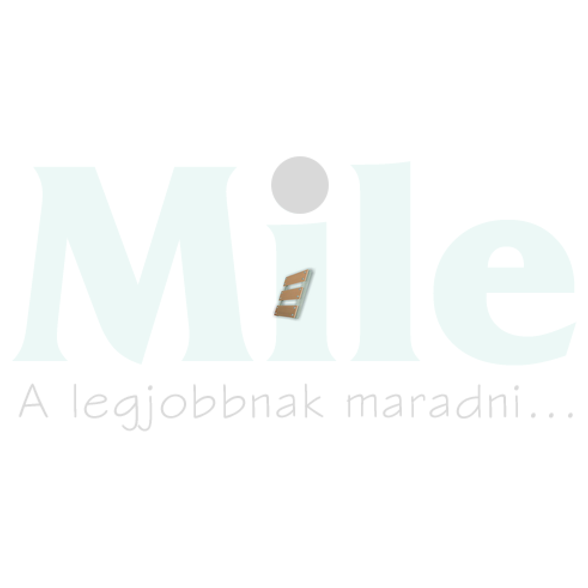 Gyűjtősíntartó Z-profil 3x 100..160x10mm 3P 4000A 185mm-síntáv Z185/2 Schmidt