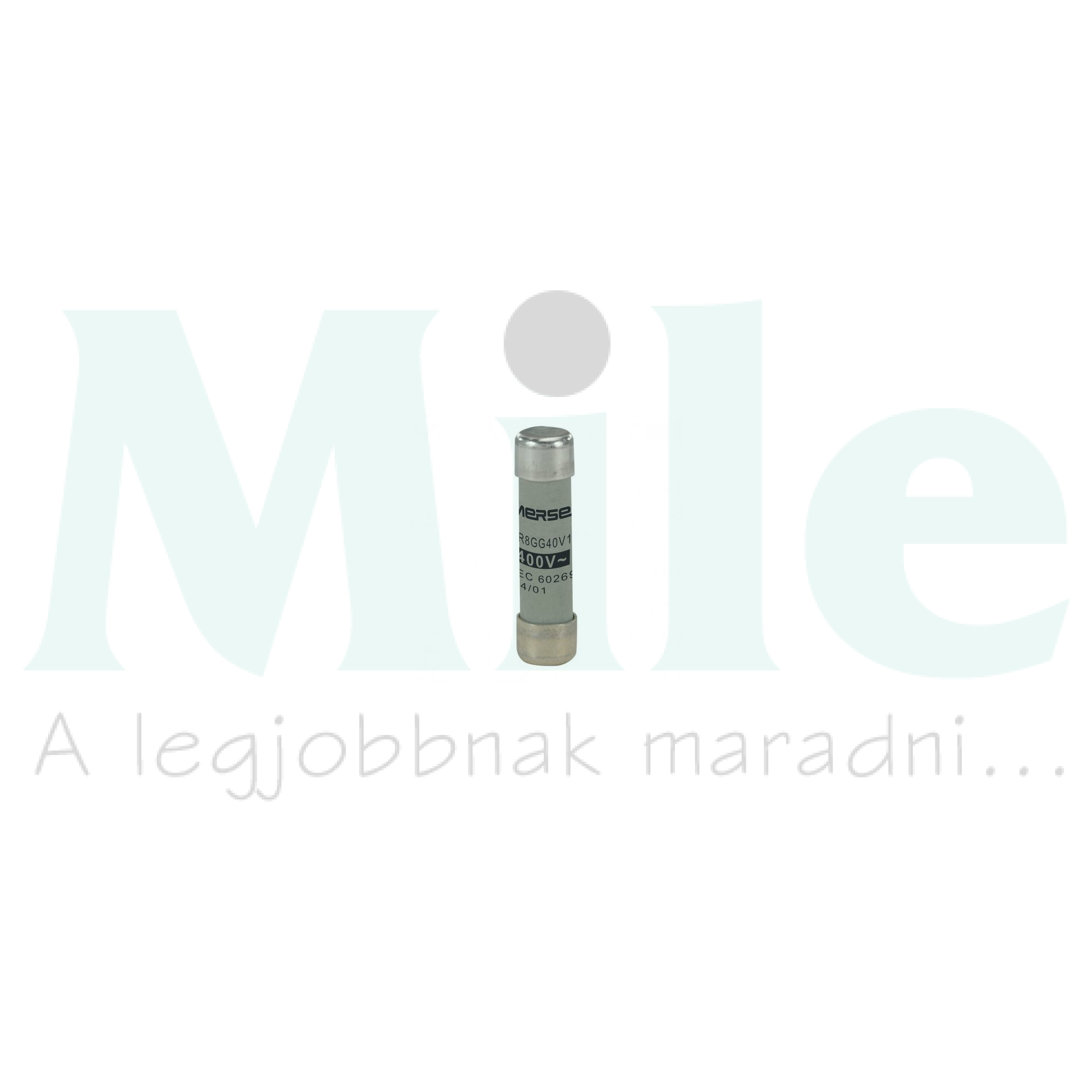 Hengeres biztosítóbetét gG 8,5x31,5mm 10A AC400V FR8GG40V10 MERSEN