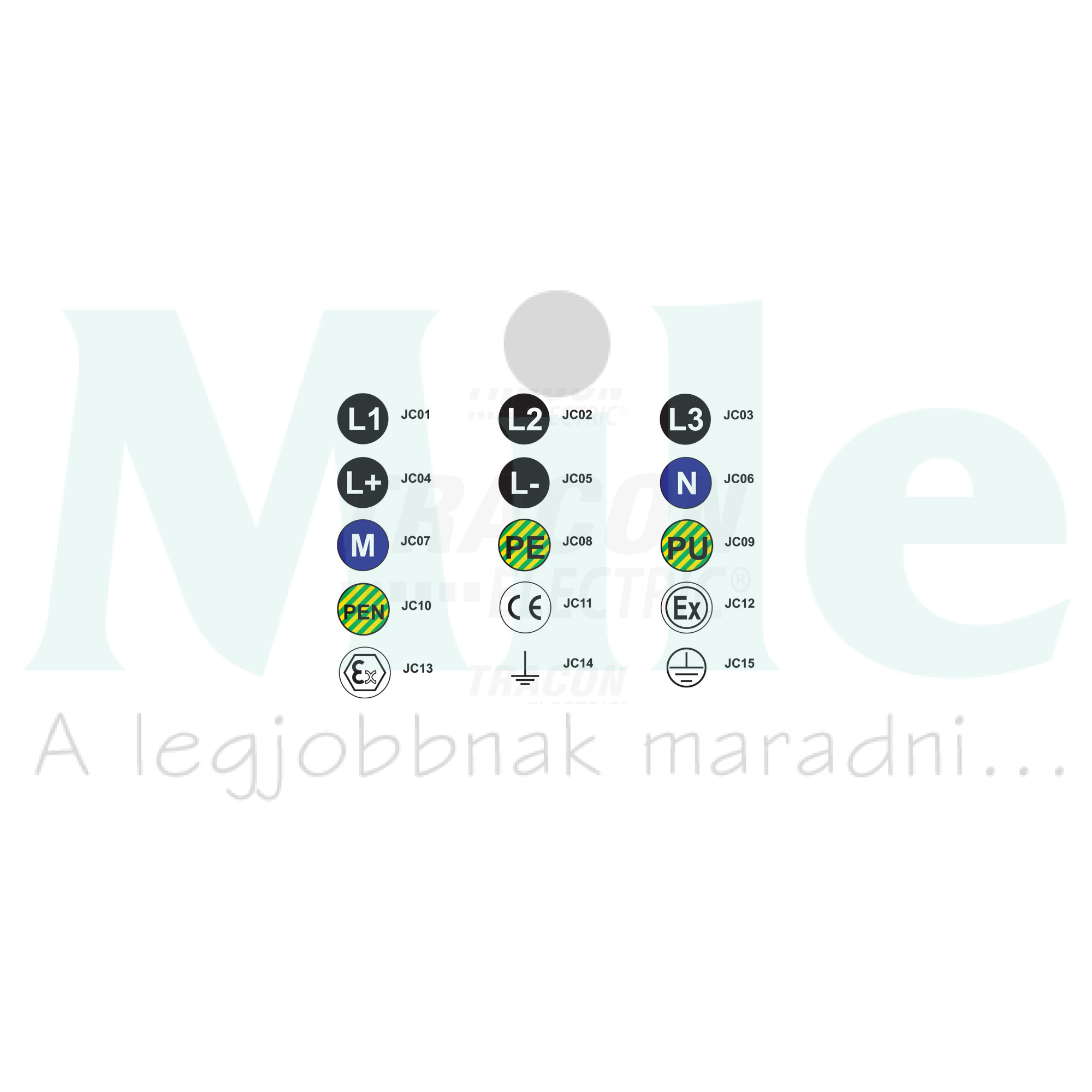 Jelölőcímke védővezető csatlakozókapocs 20mm-átmérő piktogram fehér öntapadó TRACON