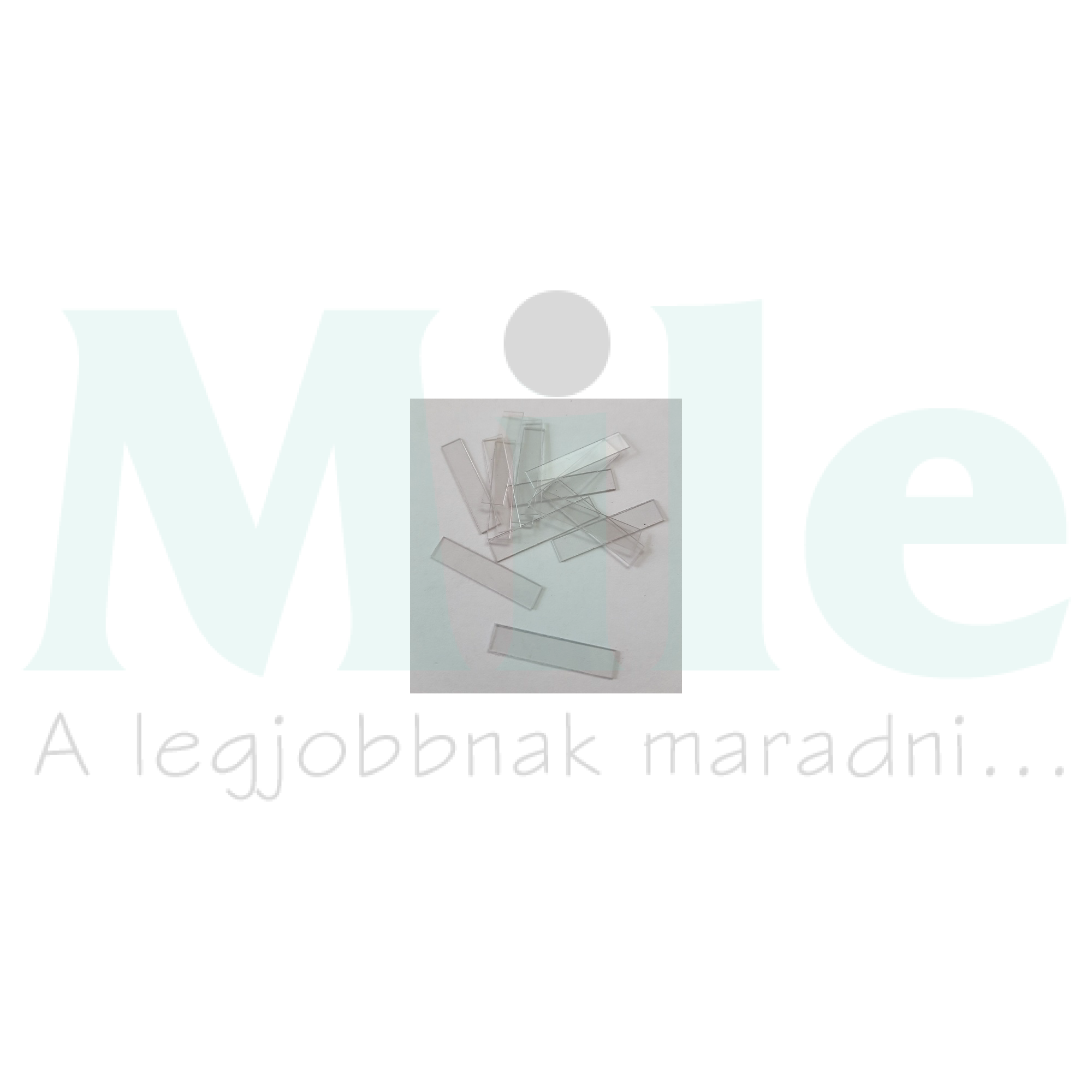 Jelölőtartó sorkapocshoz átlátszó műanyag STR 1 CONTA-CLIP