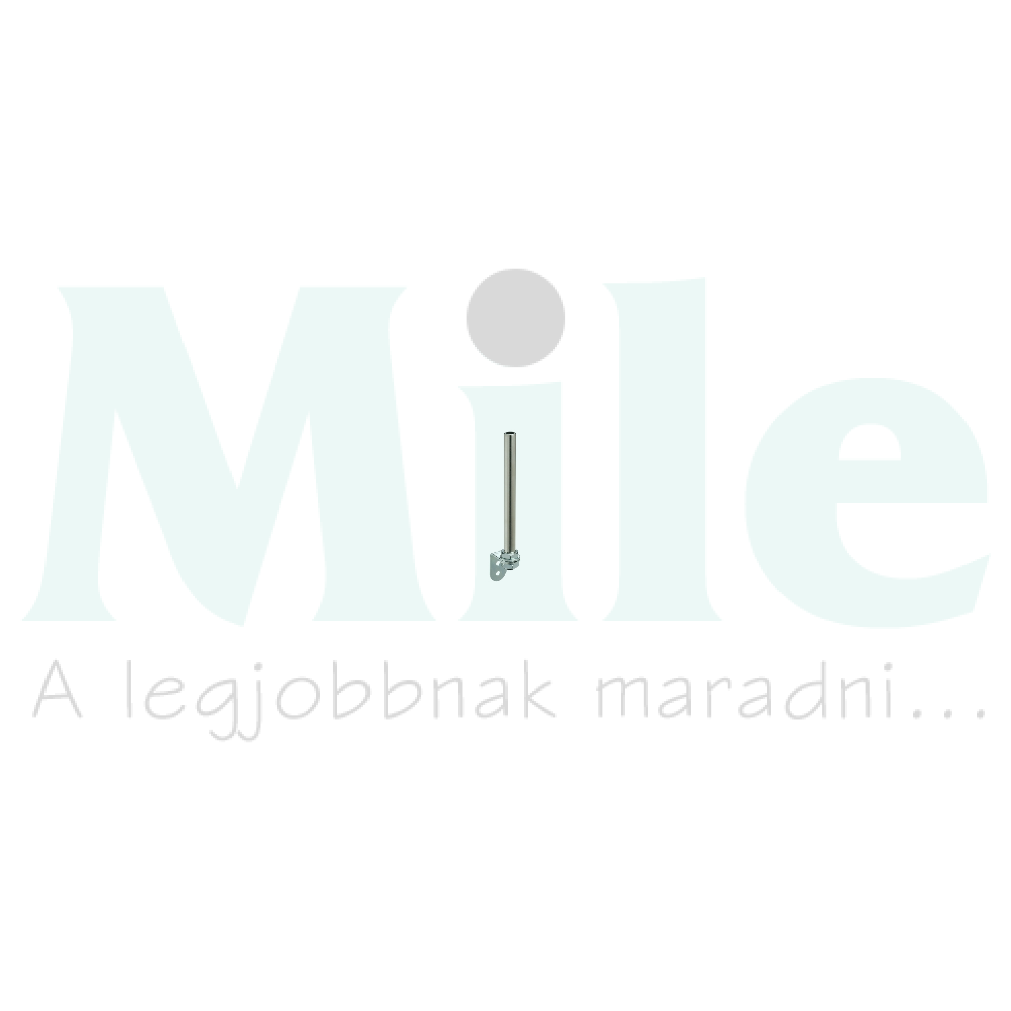 Jelzőoszlop csőtengely rögzítőelemmel 400mm-csőhossz Harmony XVM Schneider