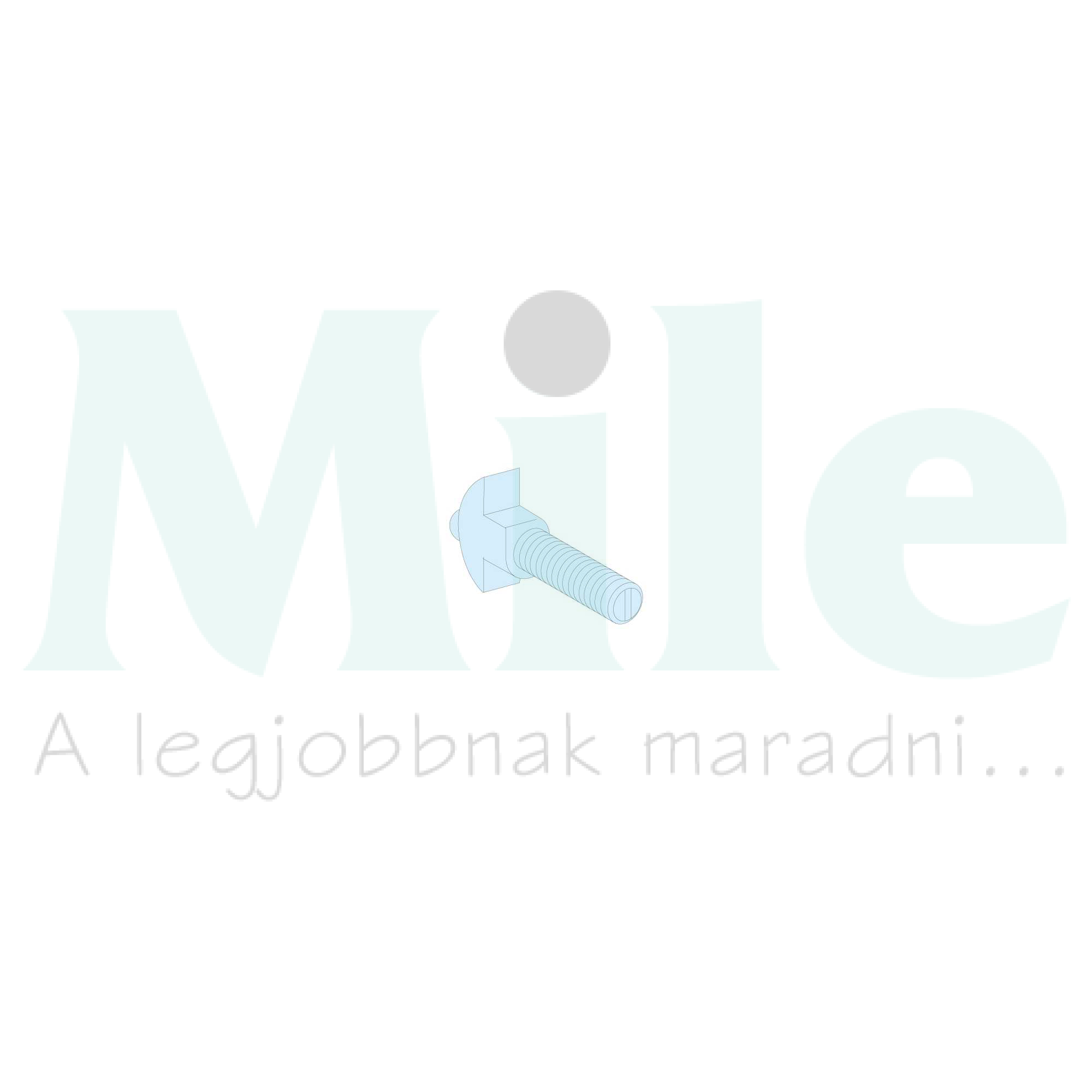 Kalapácsfejű csavar Linergy M8x25mm (20db) fém Prisma P Schneider