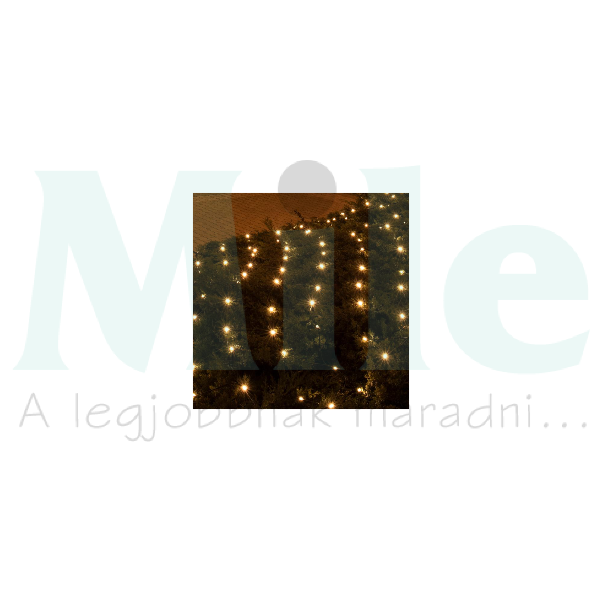 KLN 240C/WW Világító háló, 3x3m, melegfehér, kül., 240 LED