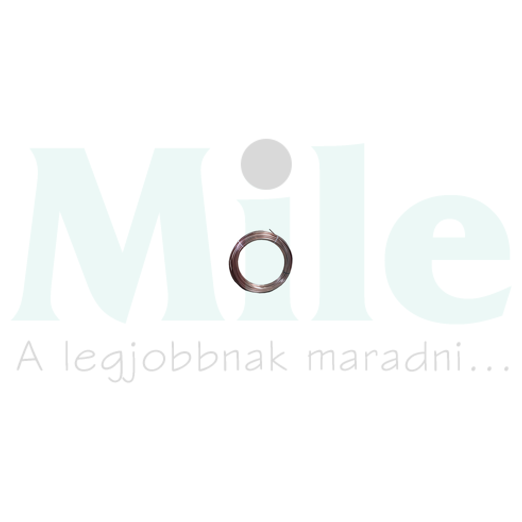 Körvezető Rd8 ~50kg ~111m VI J.PRÖPSTER